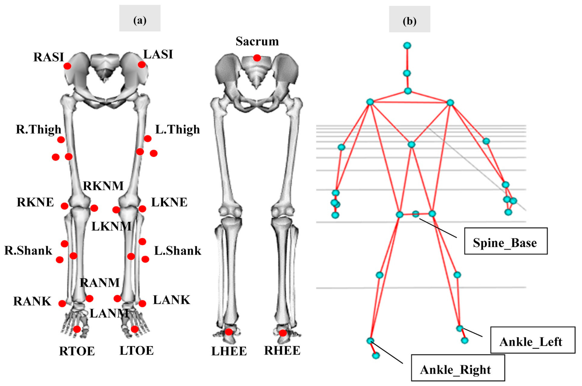 Sensors 21 02104 g001 Sensors 21 02104 g001