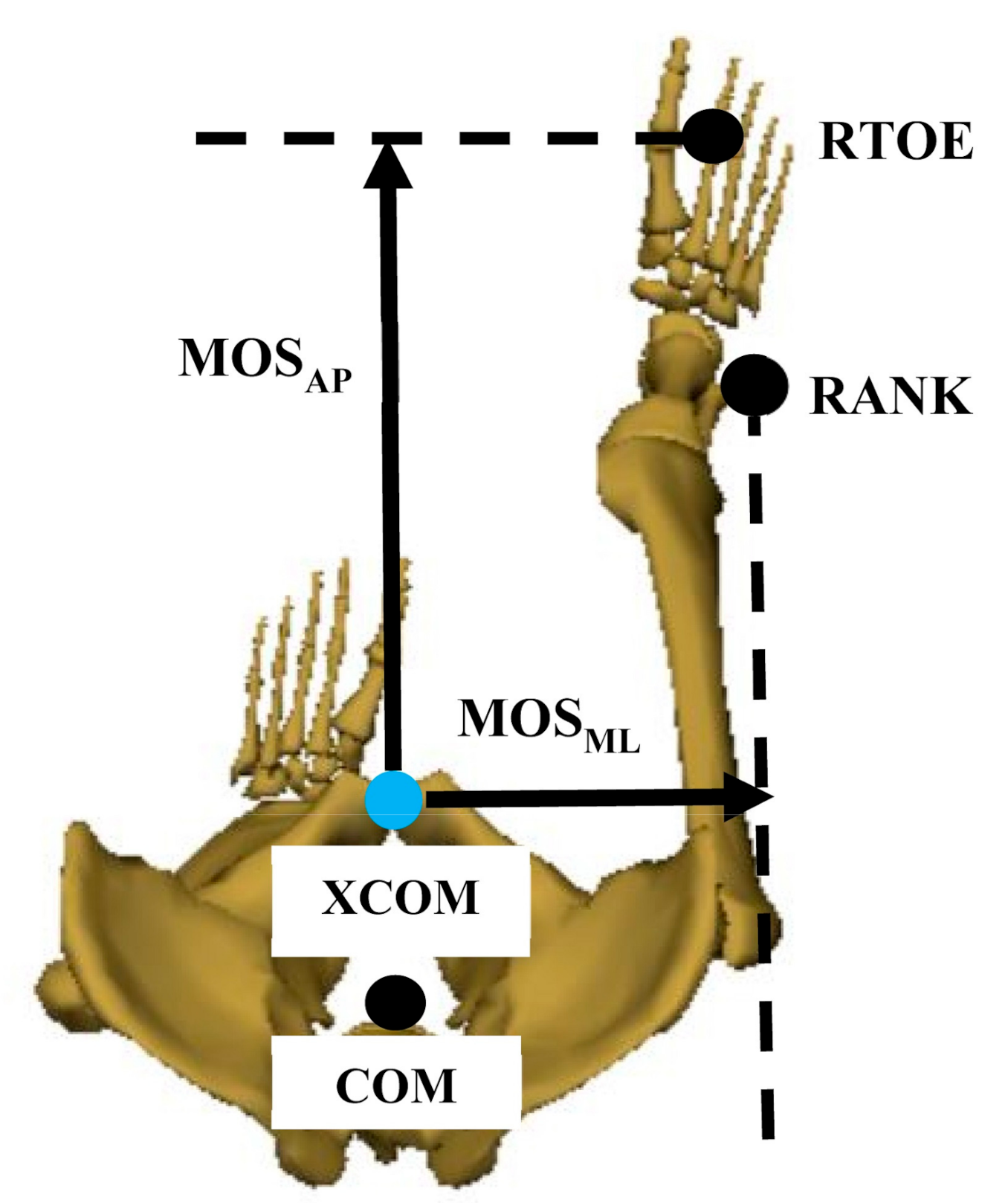 Sensors 21 02104 g002 Sensors 21 02104 g002