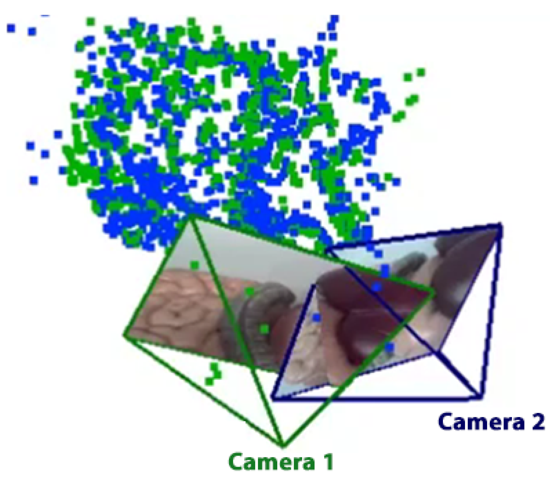 Sensors 21 02106 g004