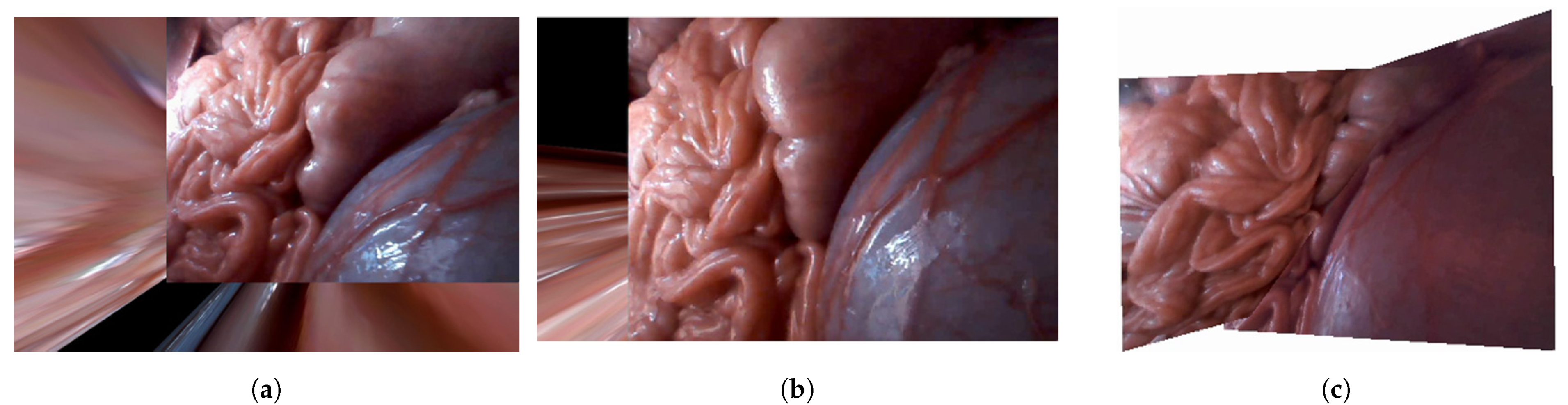 Sensors 21 02106 g017