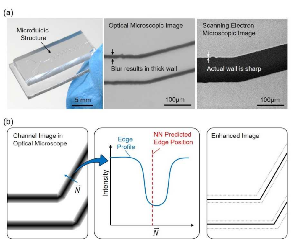 Sensors 21 02139 g001 Sensors 21 02139 g001