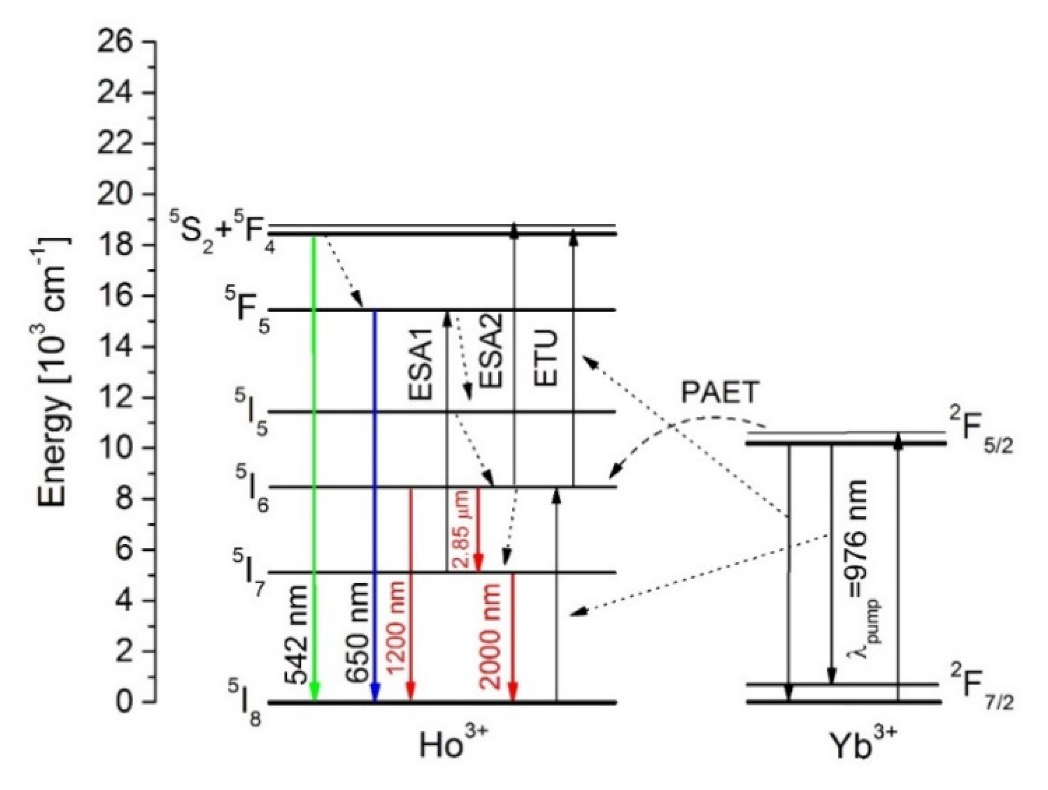 Sensors 21 02155 g005