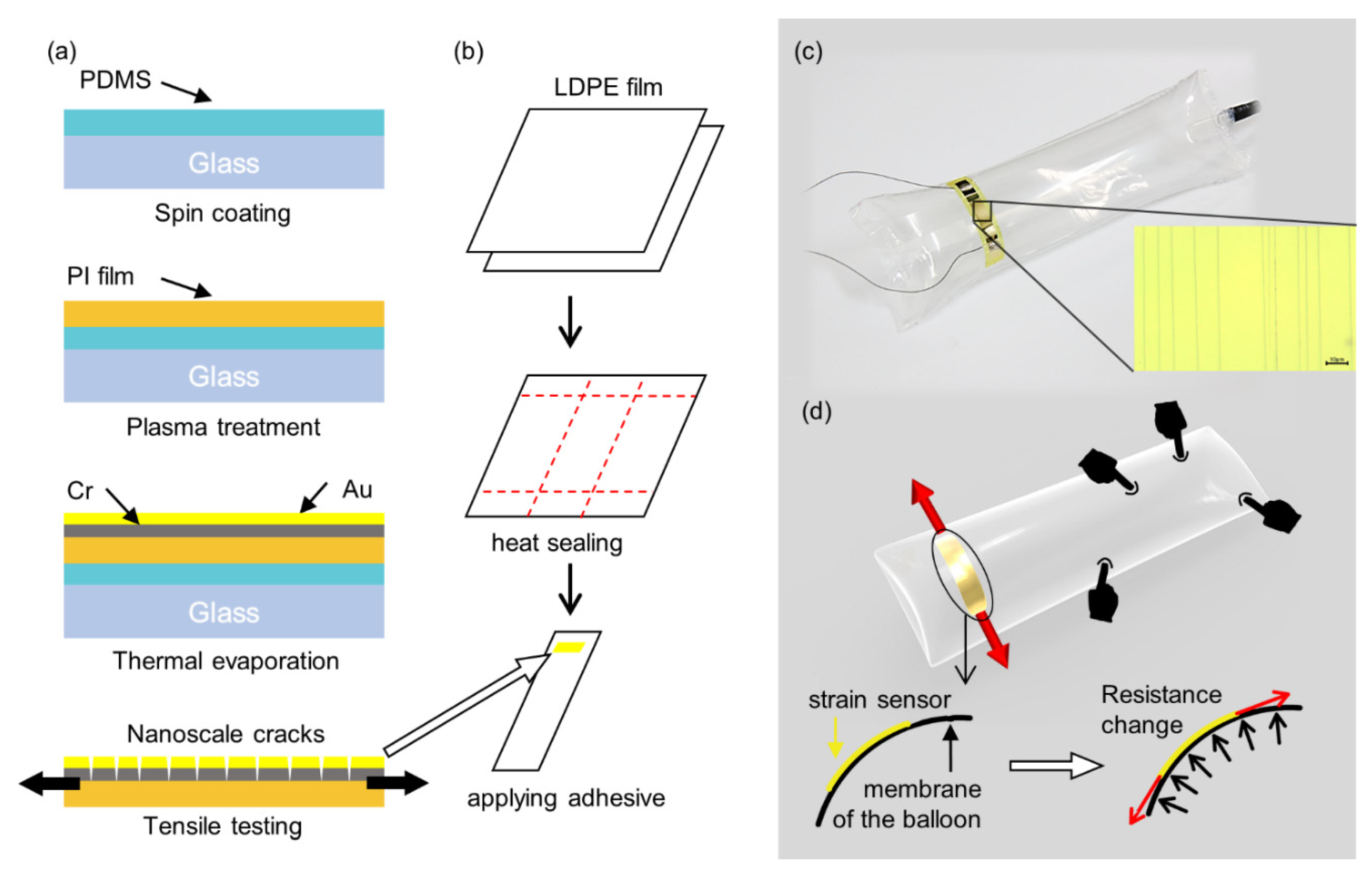 Sensors 21 02163 g002 Sensors 21 02163 g002