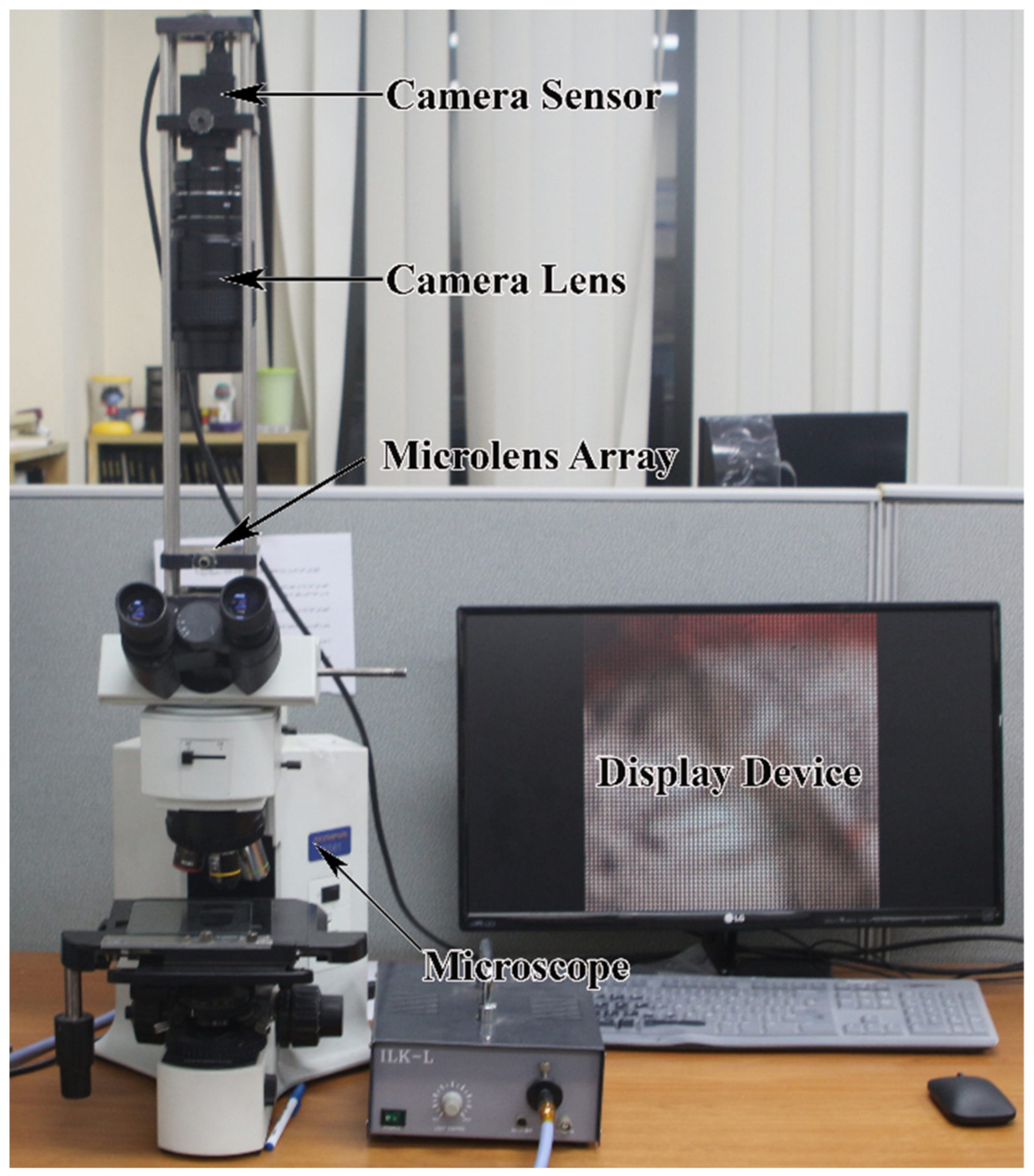 Sensors 21 02164 g006 Sensors 21 02164 g006