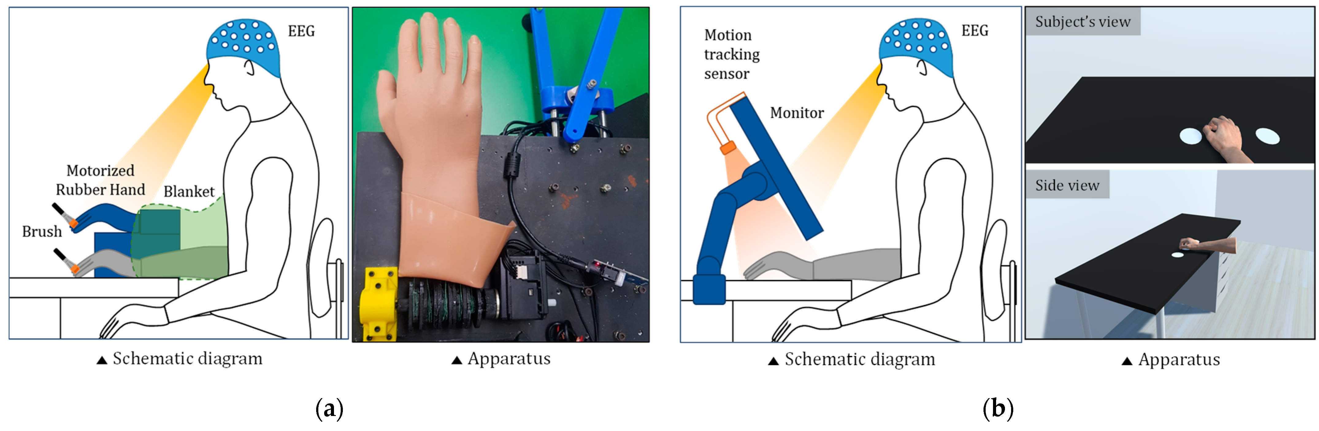 Sensors Free Full Text Development Of A Guidance System For Motor Imagery Enhancement Using The Virtual Hand Illusion Html Sensors Free Full Text Development Of A Guidance System For Motor Imagery Enhancement Using The Virtual Hand Illusion Html