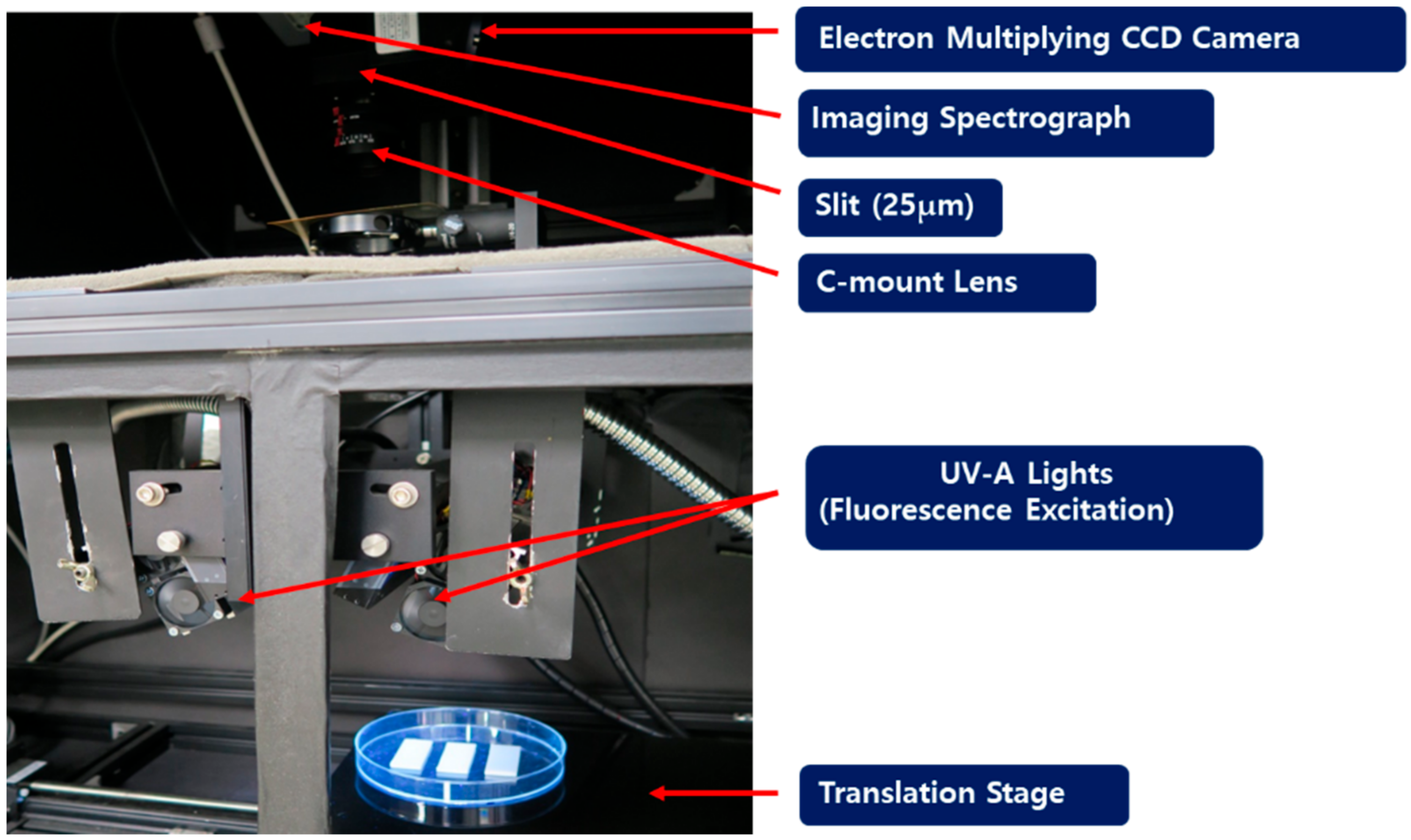 Sensors 21 02213 g002 Sensors 21 02213 g002