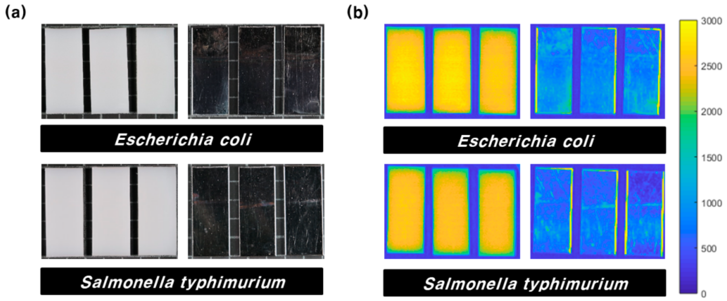 Sensors 21 02213 g007 Sensors 21 02213 g007