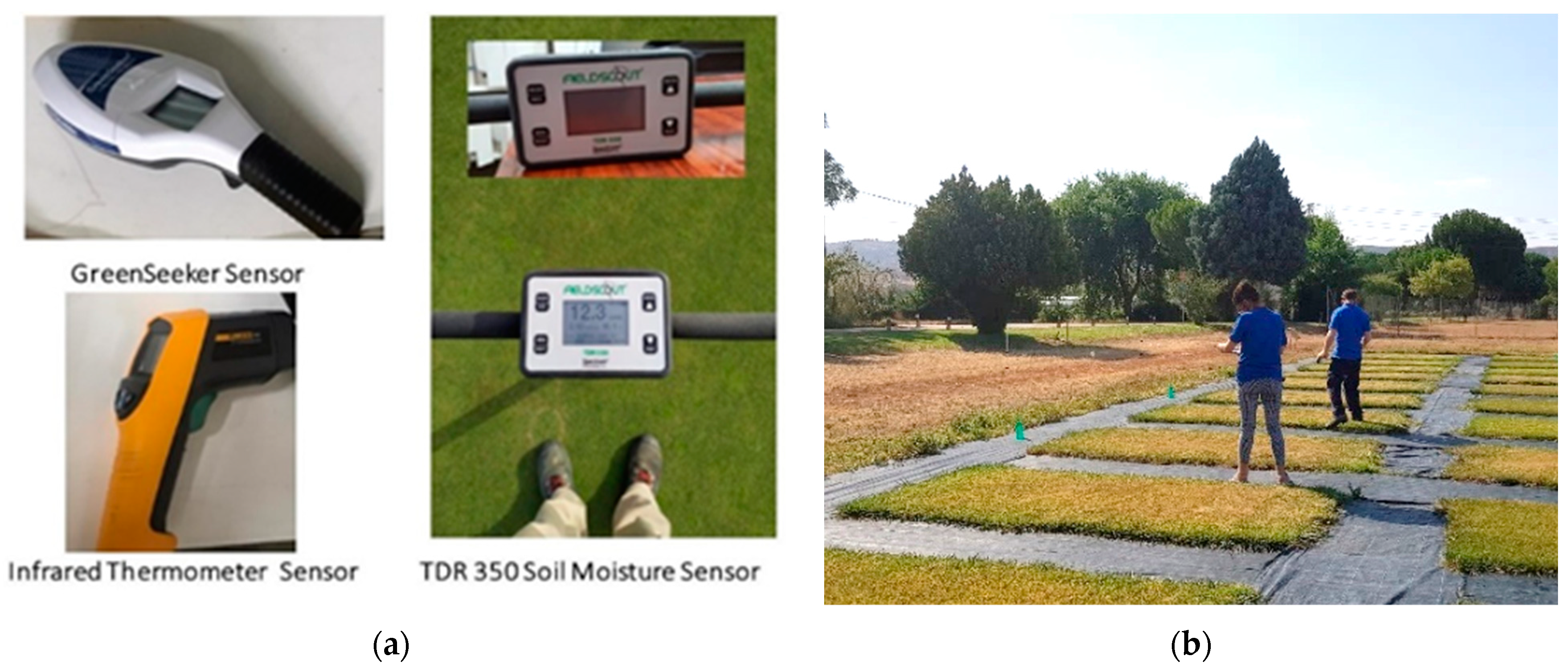 Sensors 21 02255 g001