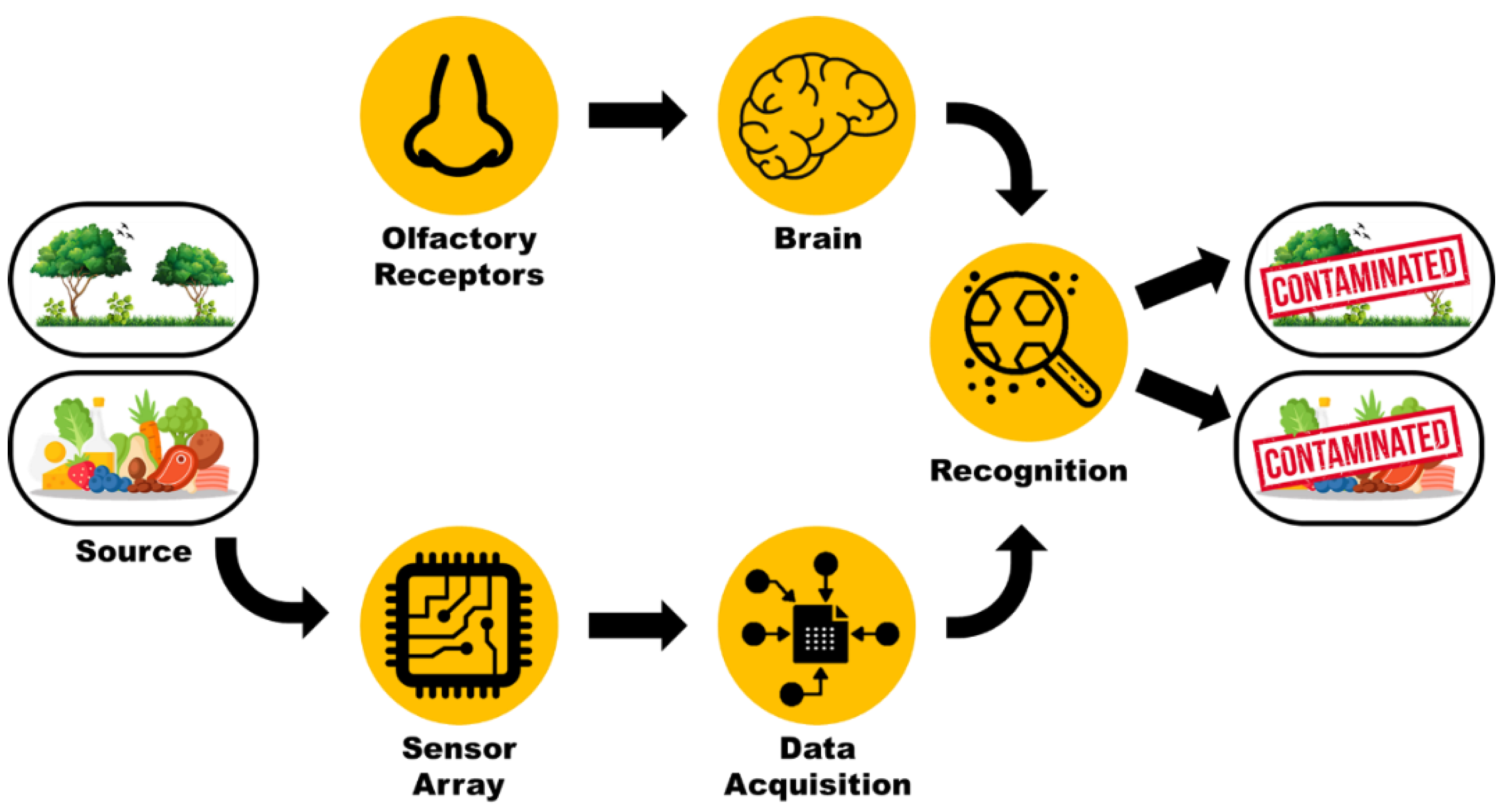 Sensors 21 02271 g001 Sensors 21 02271 g001