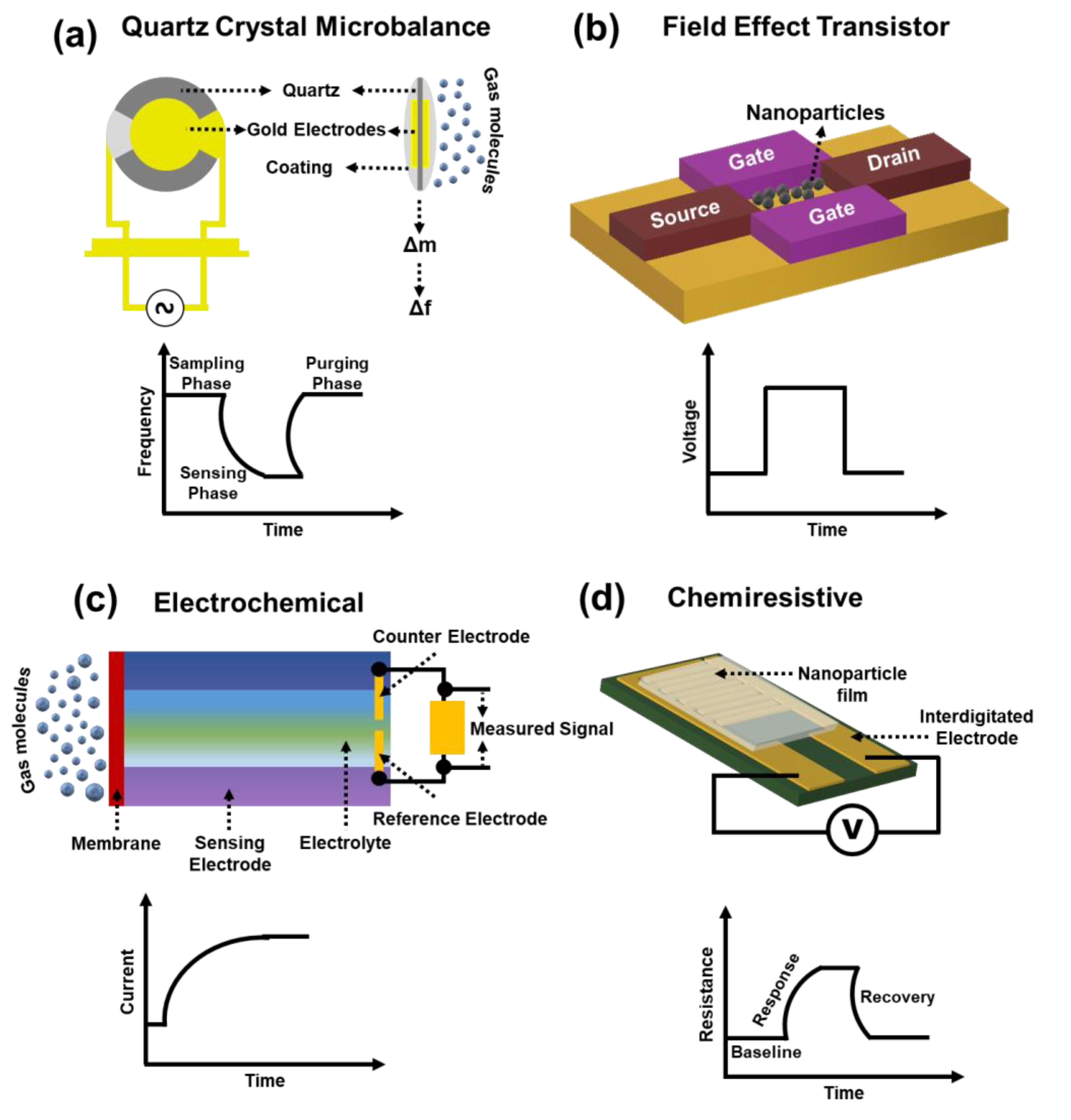 Sensors 21 02271 g003 Sensors 21 02271 g003
