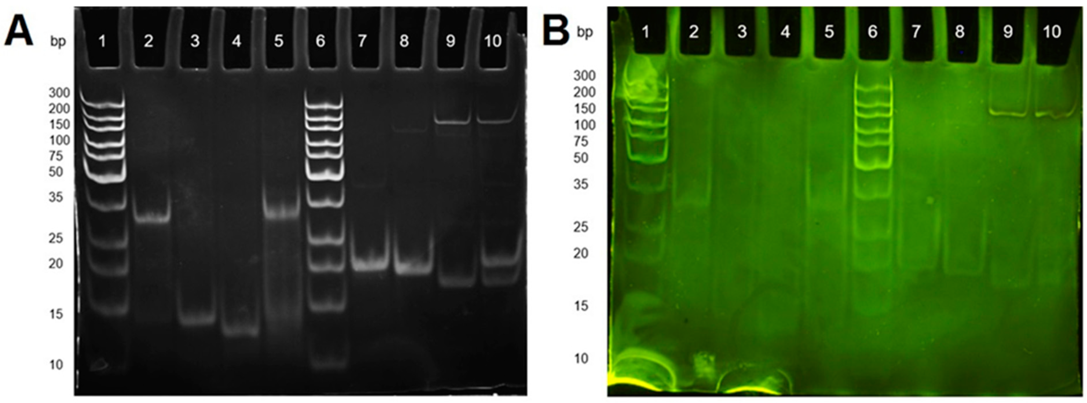 Sensors 21 02319 g002