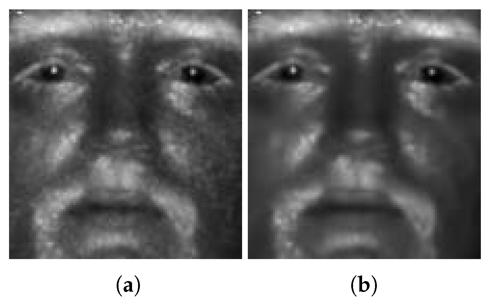 Sensors 21 02322 g003 Sensors 21 02322 g003