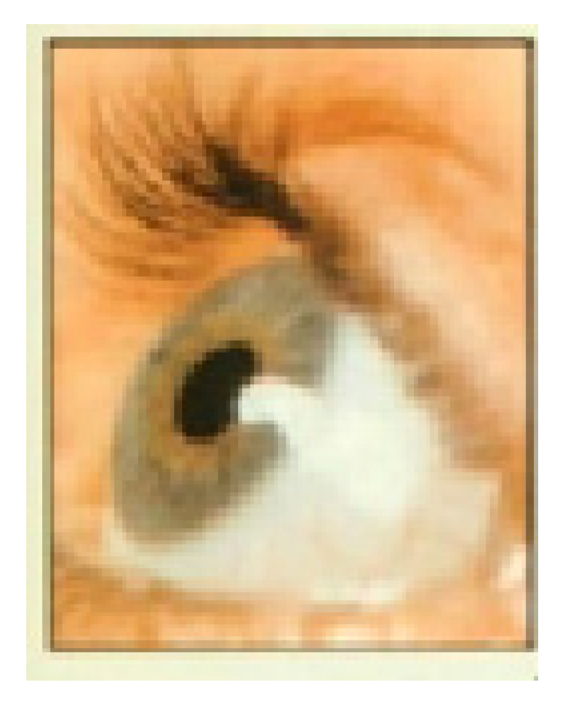 Sensors 21 02326 g001