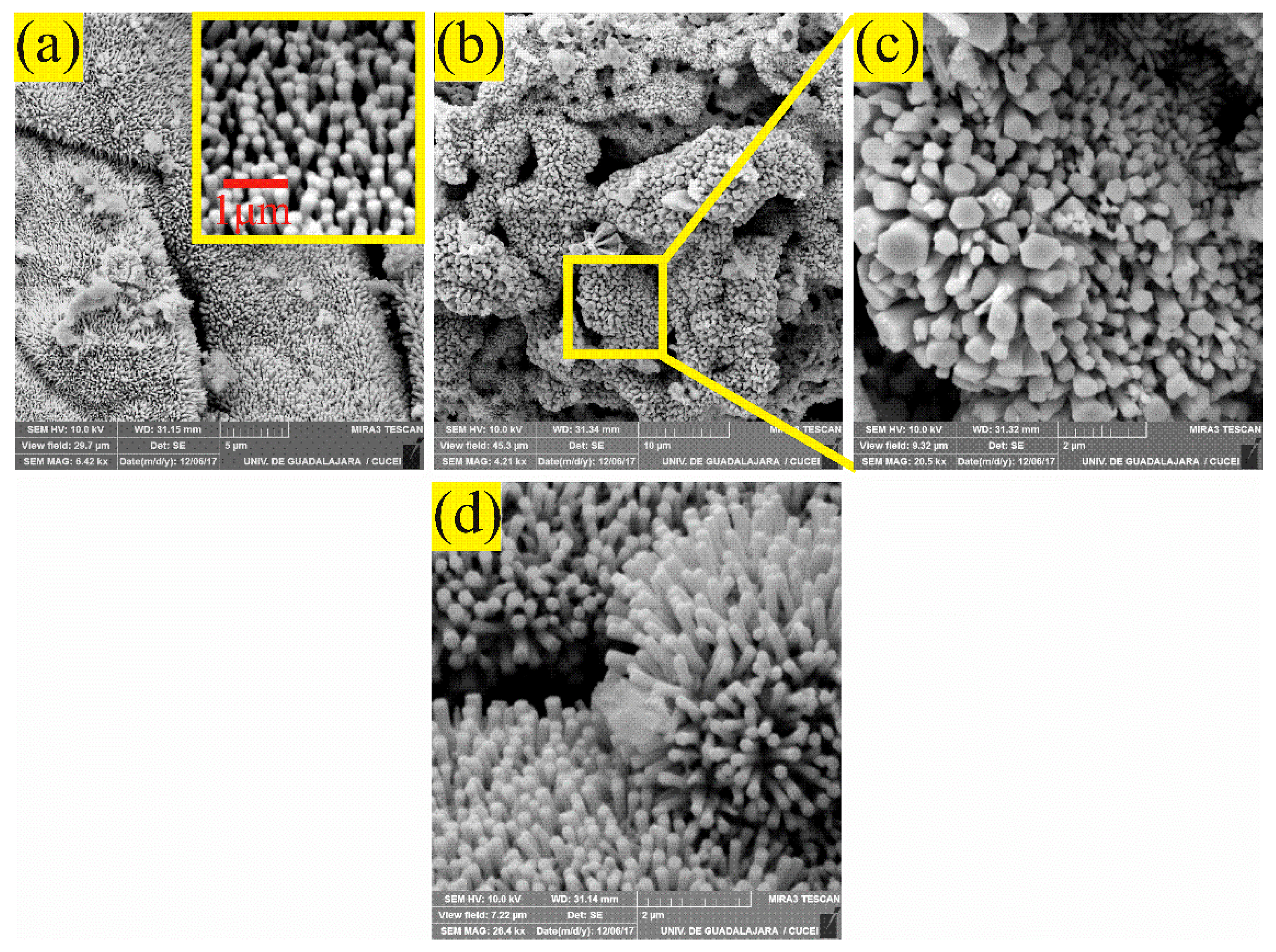 Sensors 21 02362 g005 Sensors 21 02362 g005
