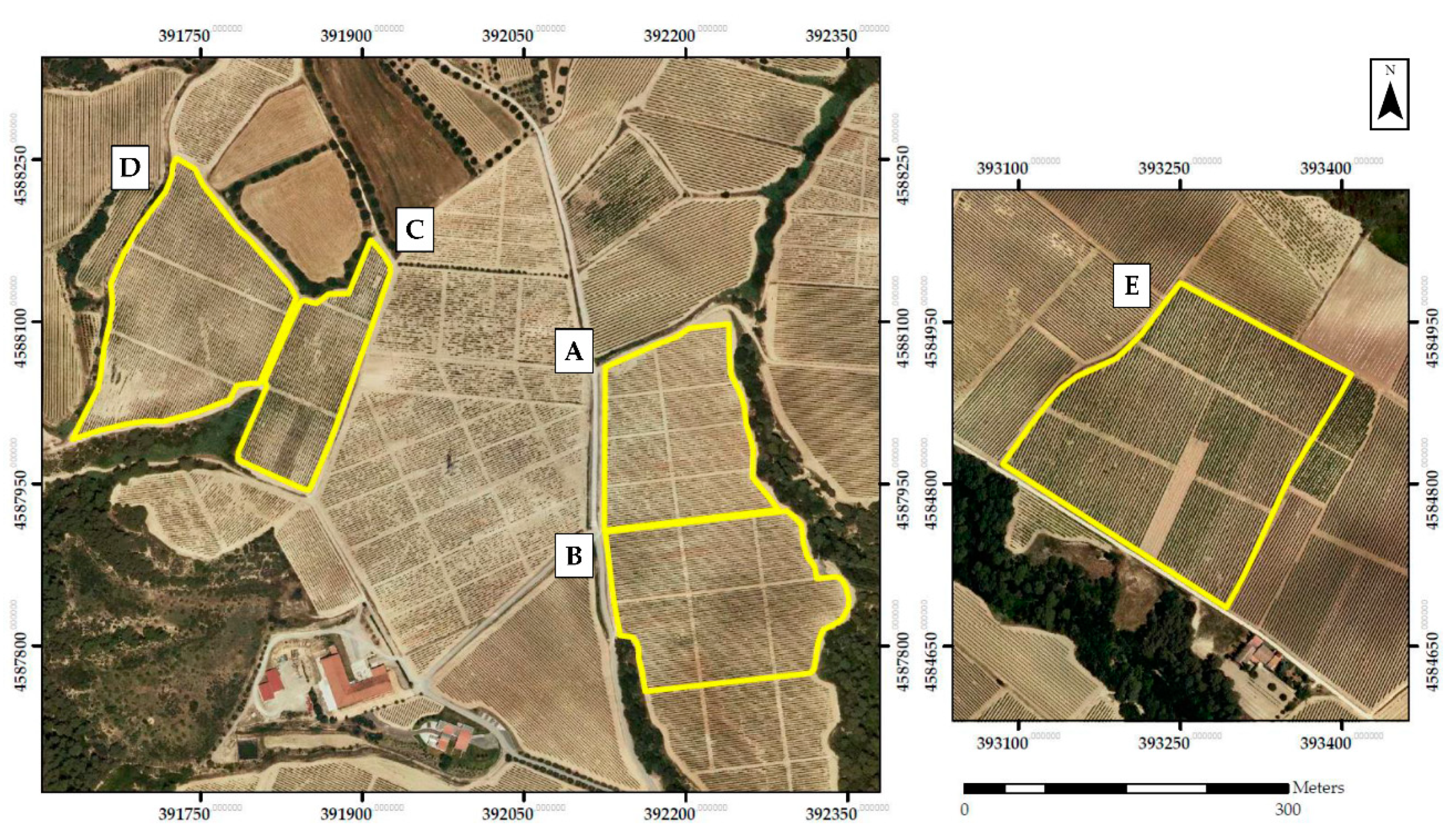 Sensors 21 02363 g001