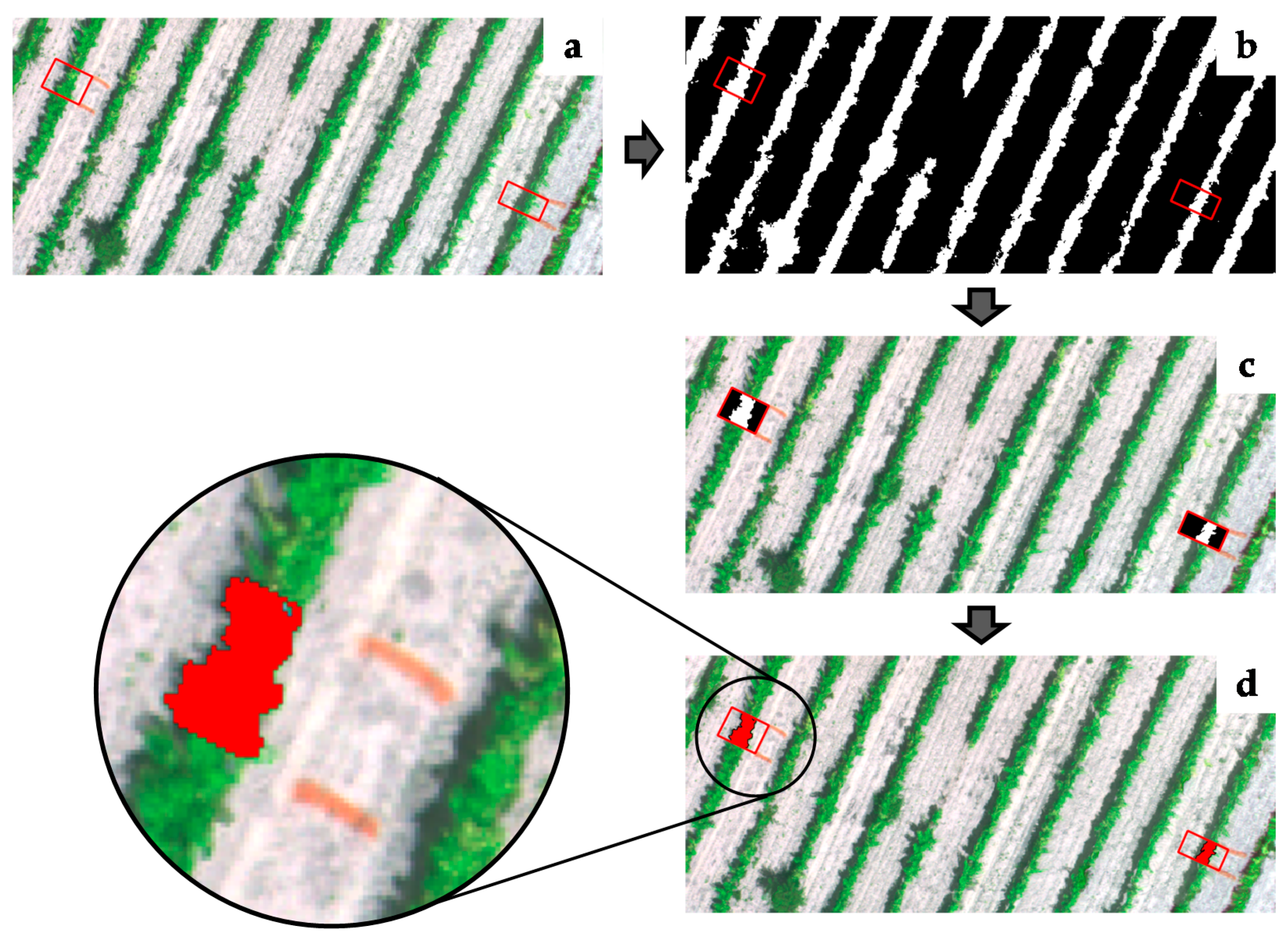 Sensors 21 02363 g004