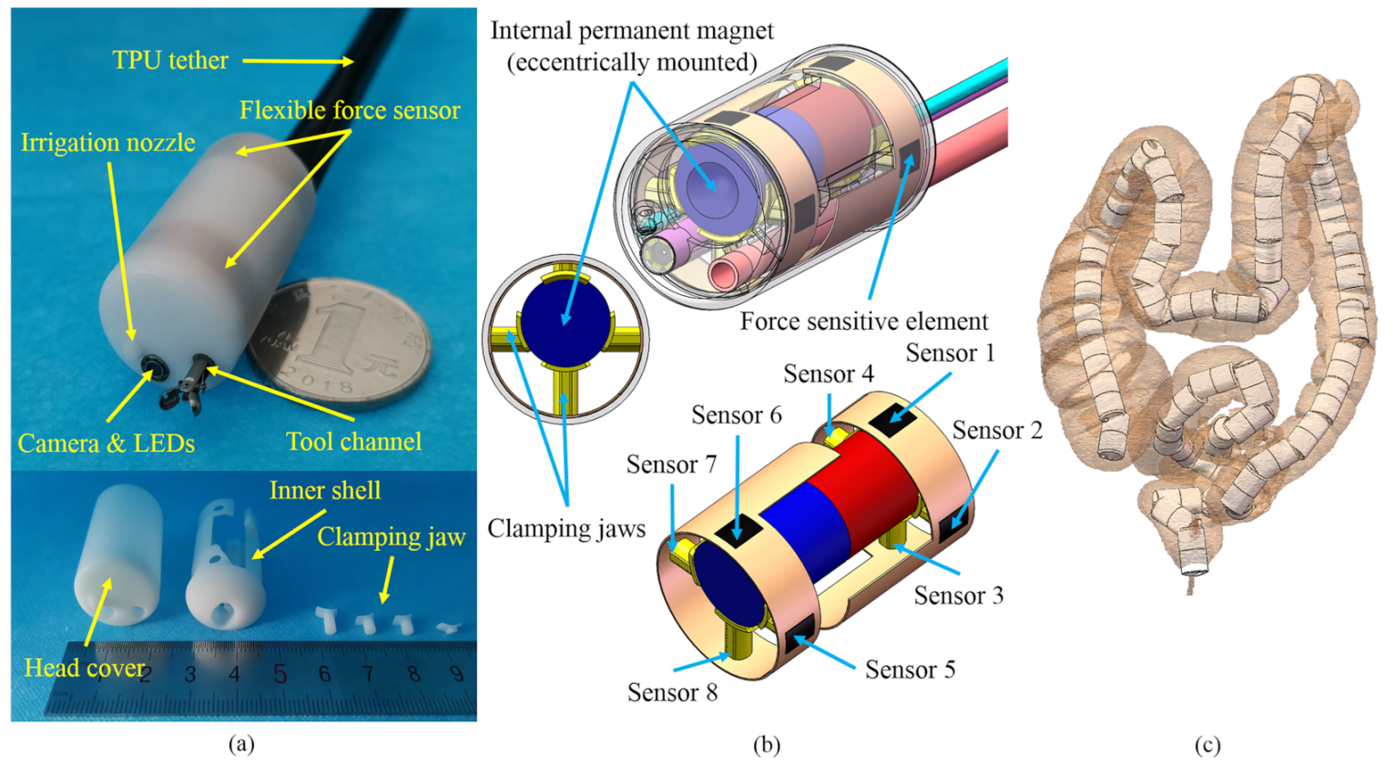 Sensors Free FullText Endoluminal Motion Recognition of a