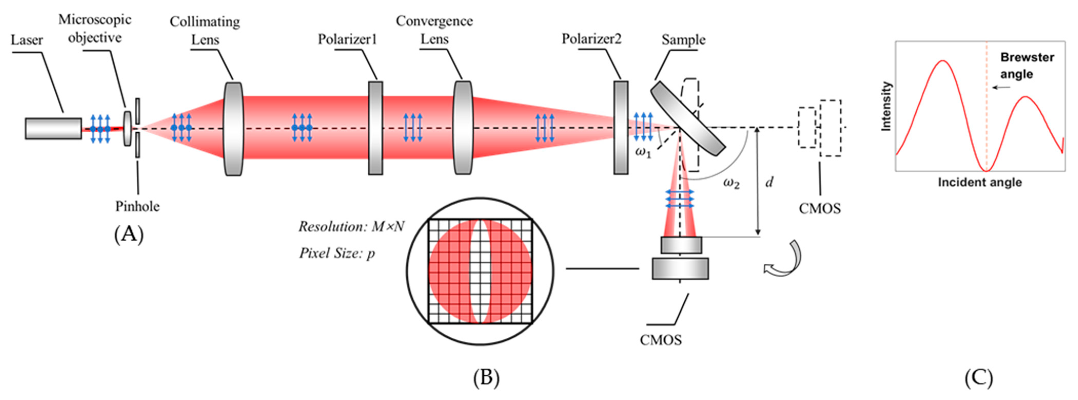 Sensors 21 02421 g002 Sensors 21 02421 g002