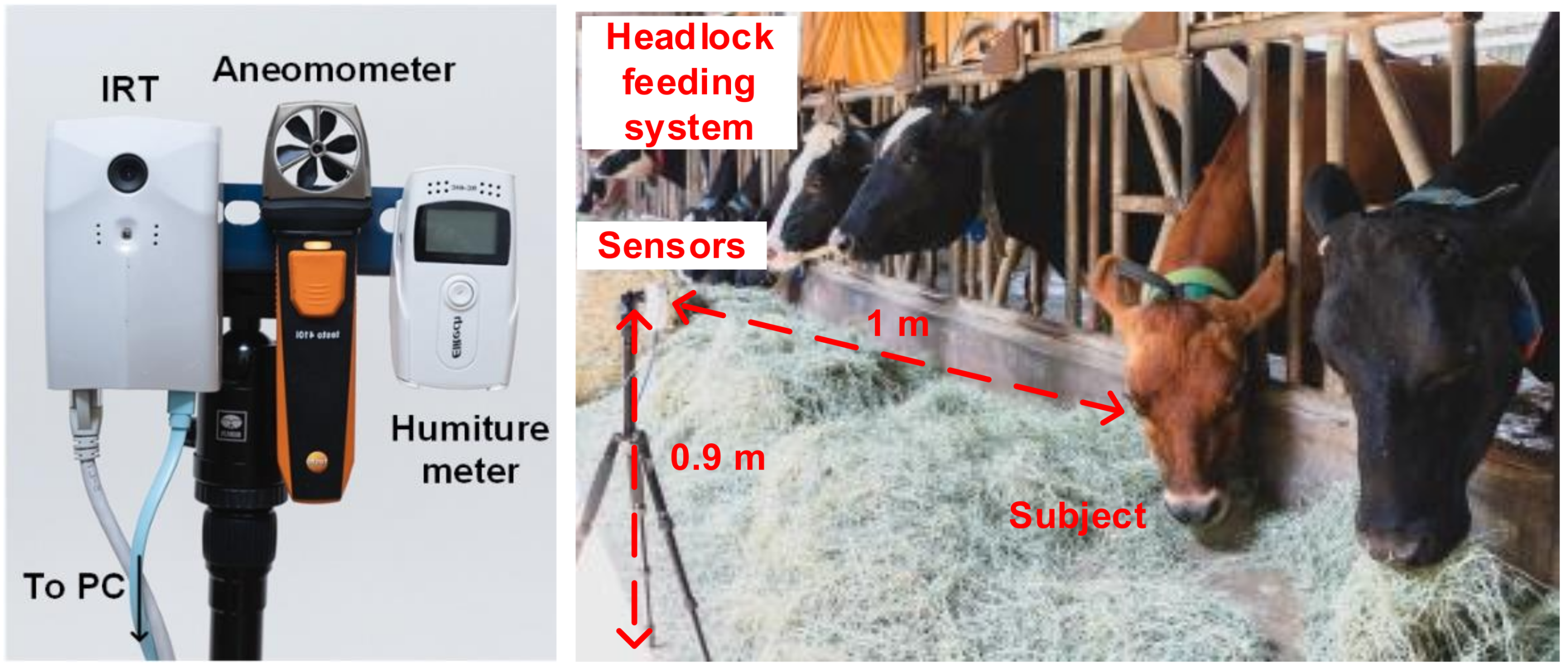 Sensors Free FullText NonInvasive Cattle Body Temperature
