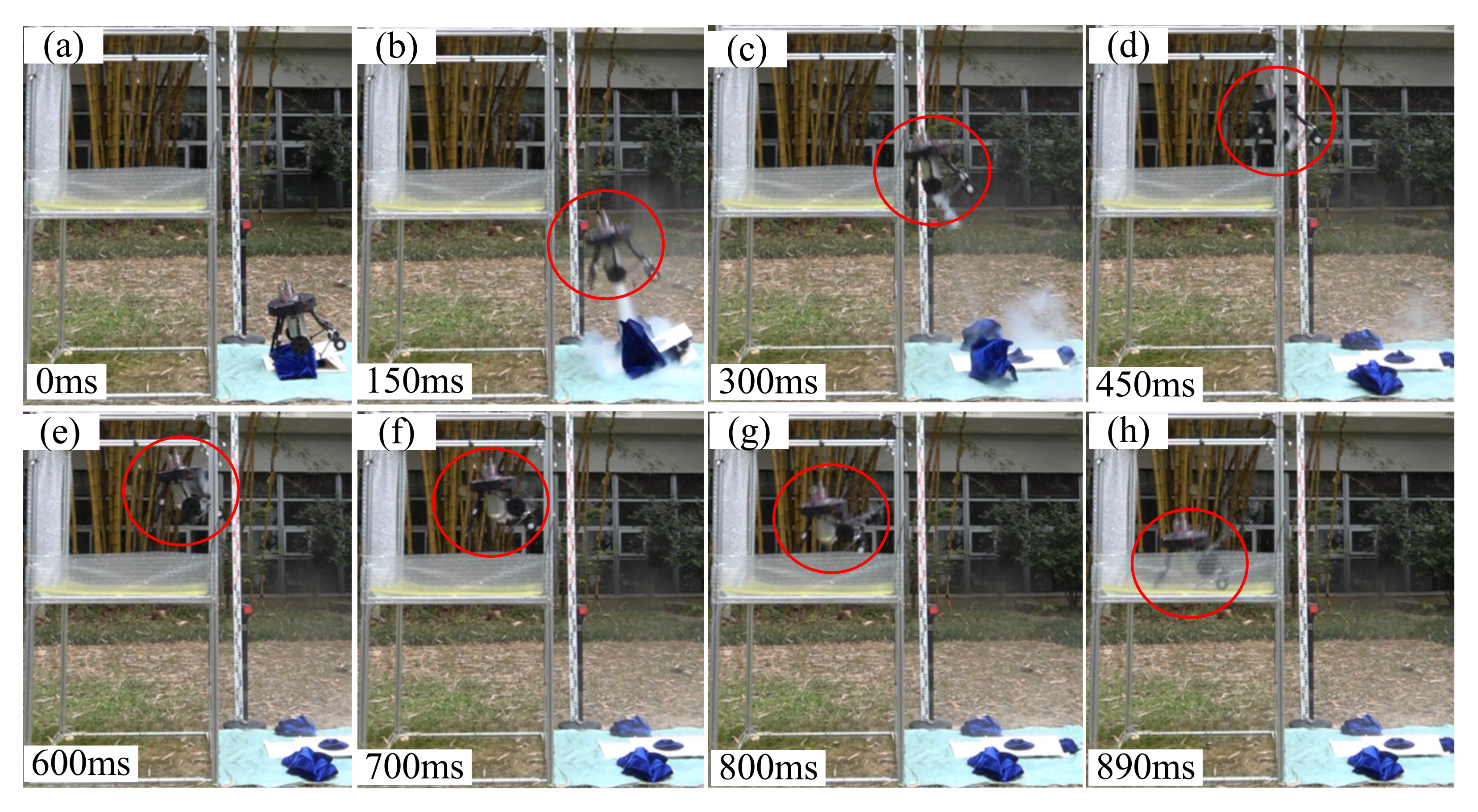 Sensors 21 02432 g012