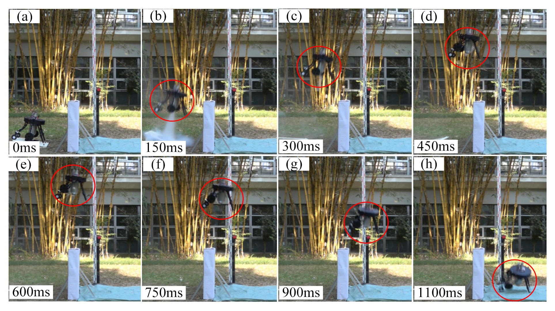 Sensors 21 02432 g013