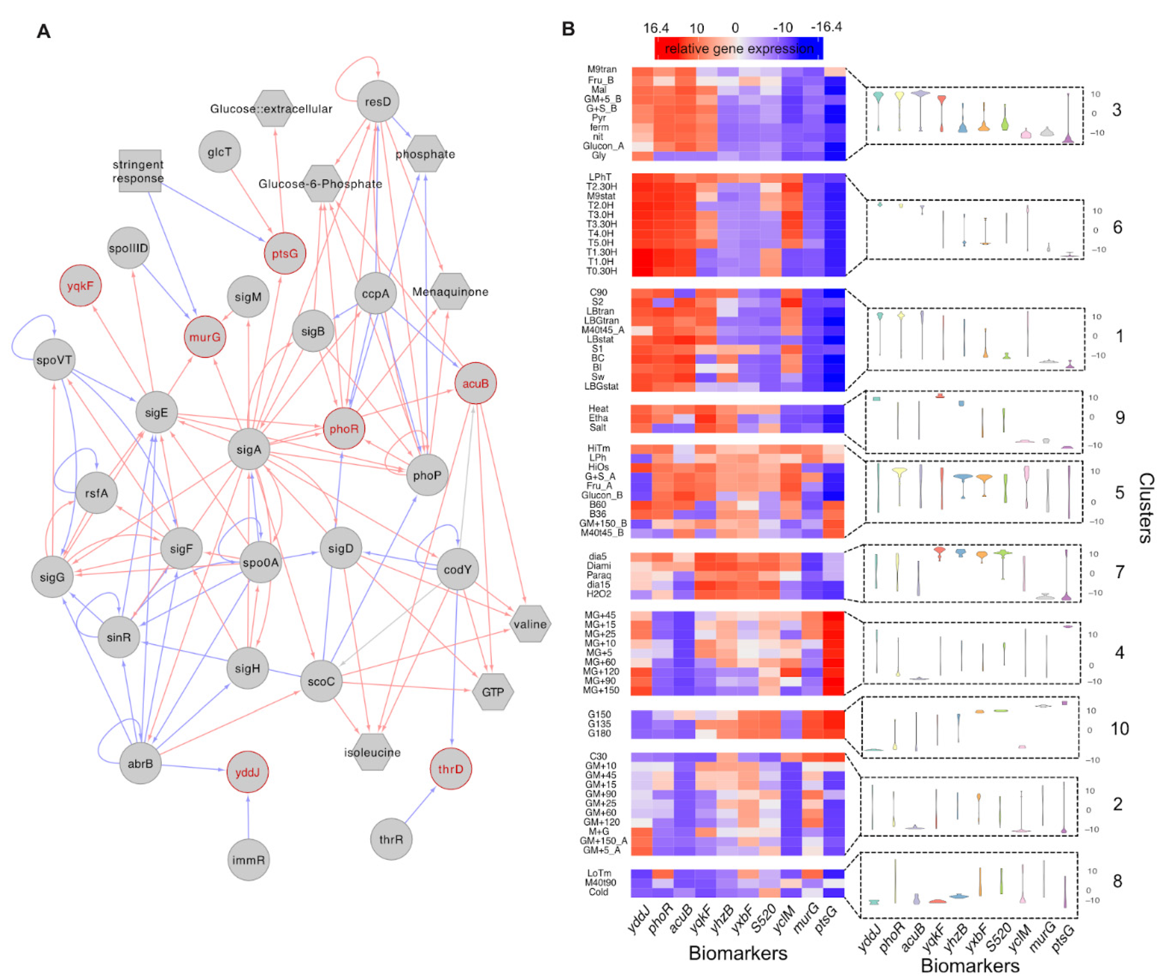 Sensors 21 02436 g005
