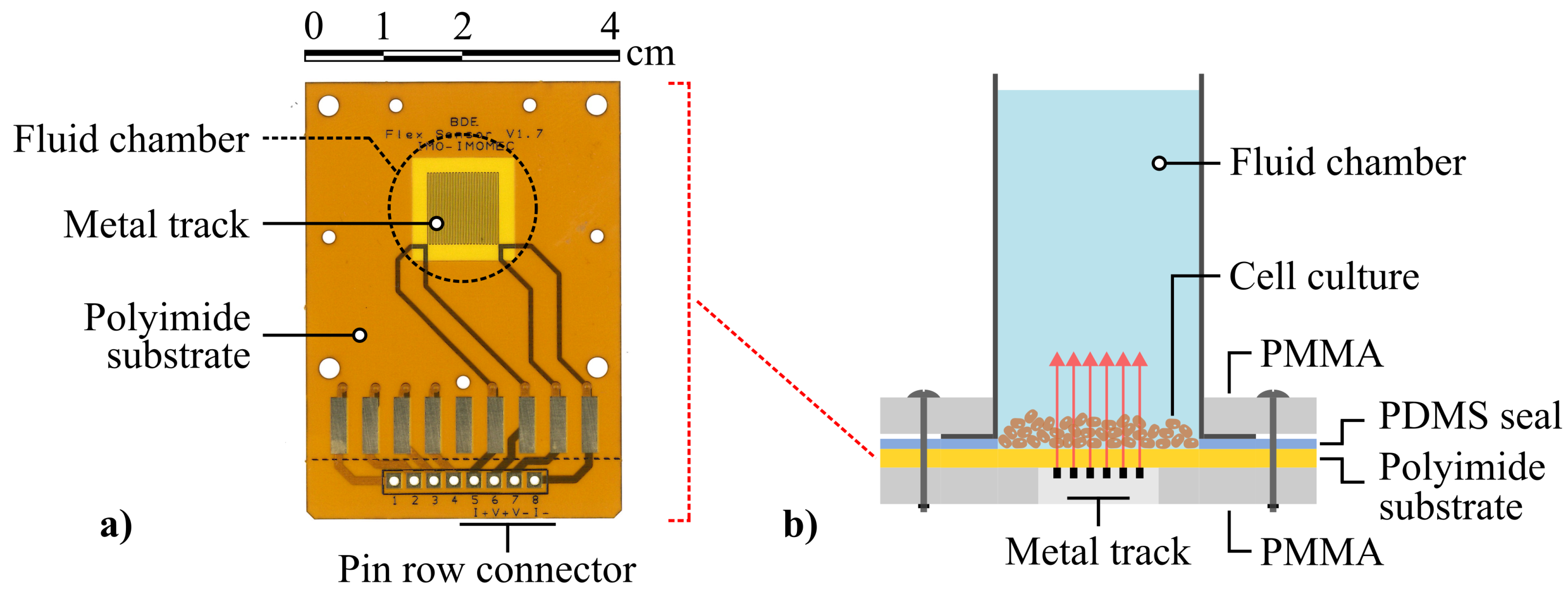 Sensors 21 02440 g002