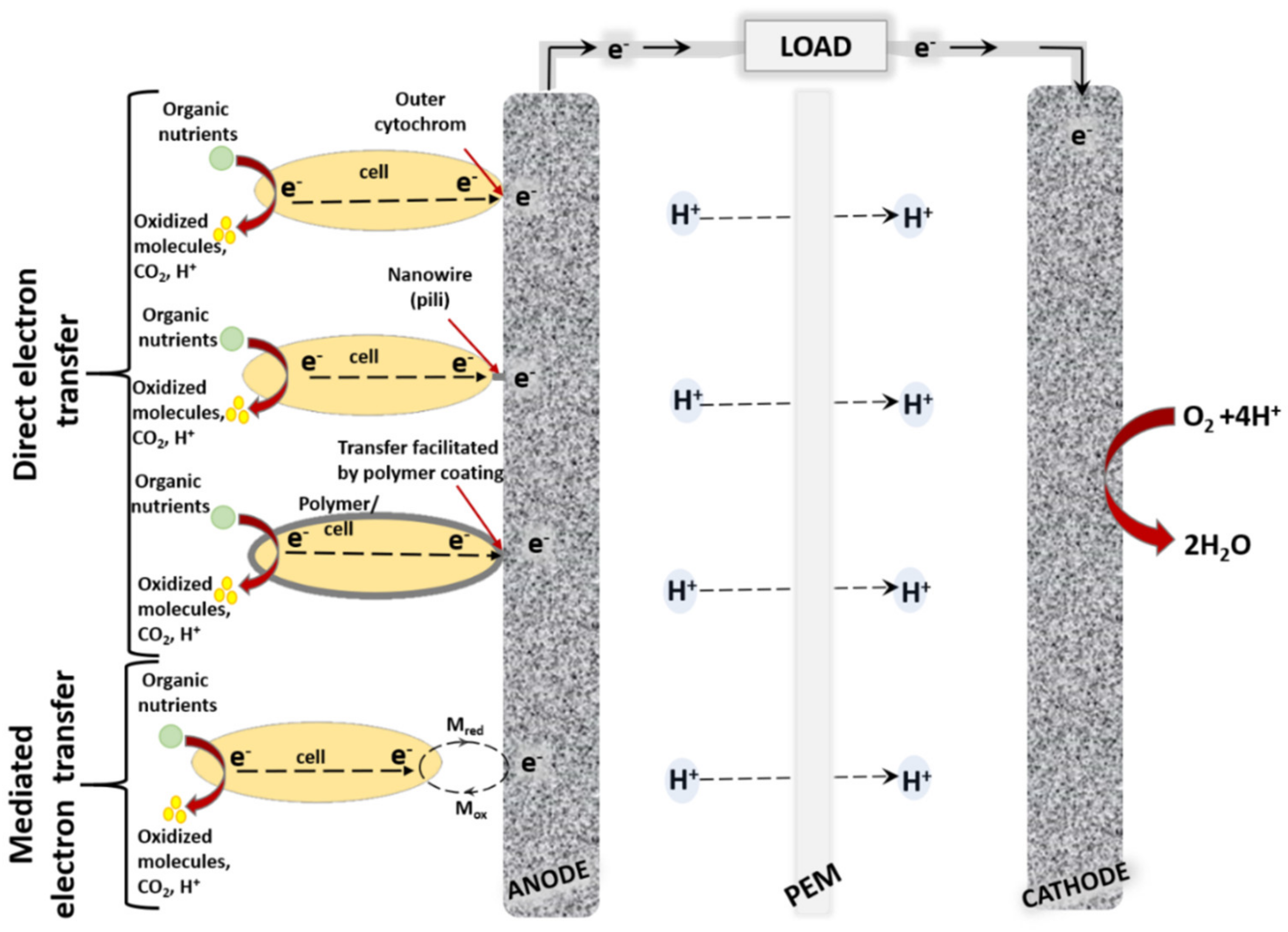 Sensors 21 02442 g001 Sensors 21 02442 g001