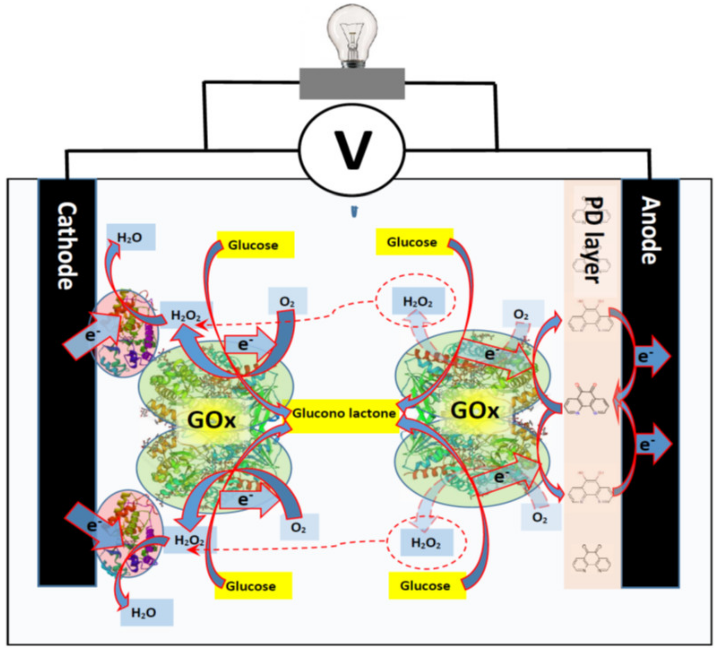 Sensors 21 02442 g004 Sensors 21 02442 g004