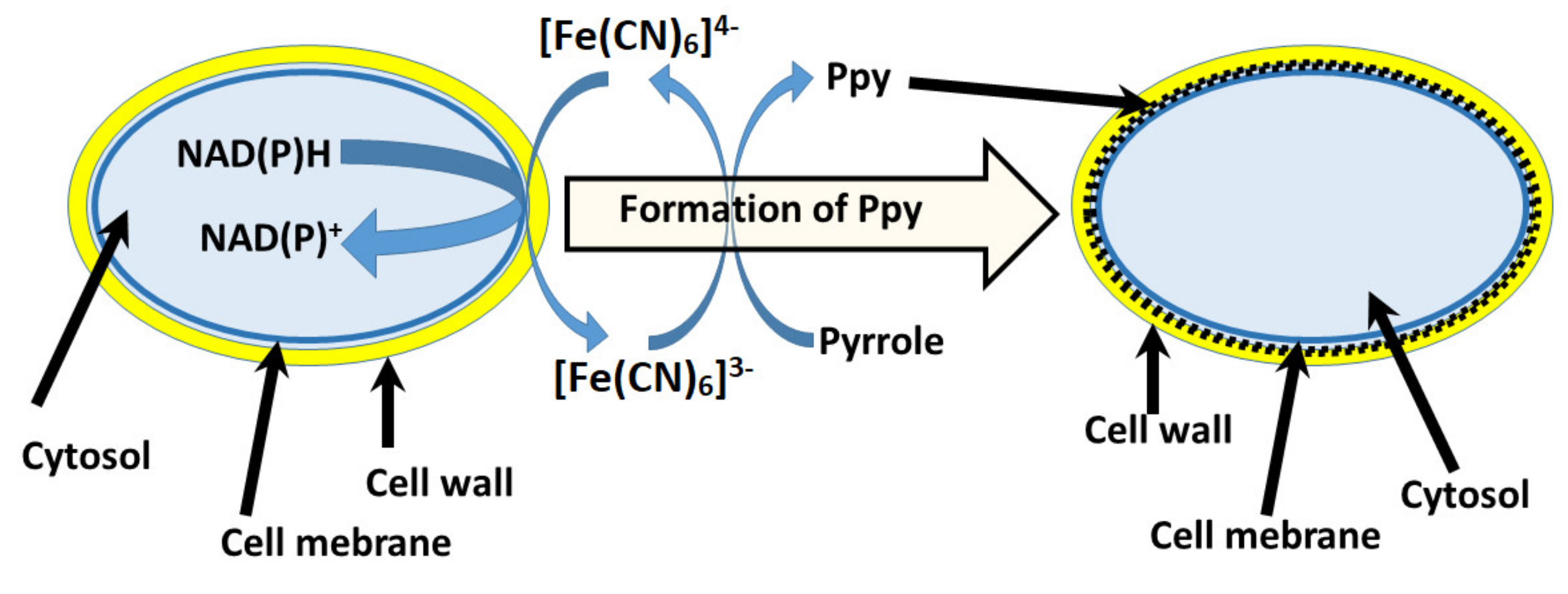Sensors 21 02442 g005 Sensors 21 02442 g005