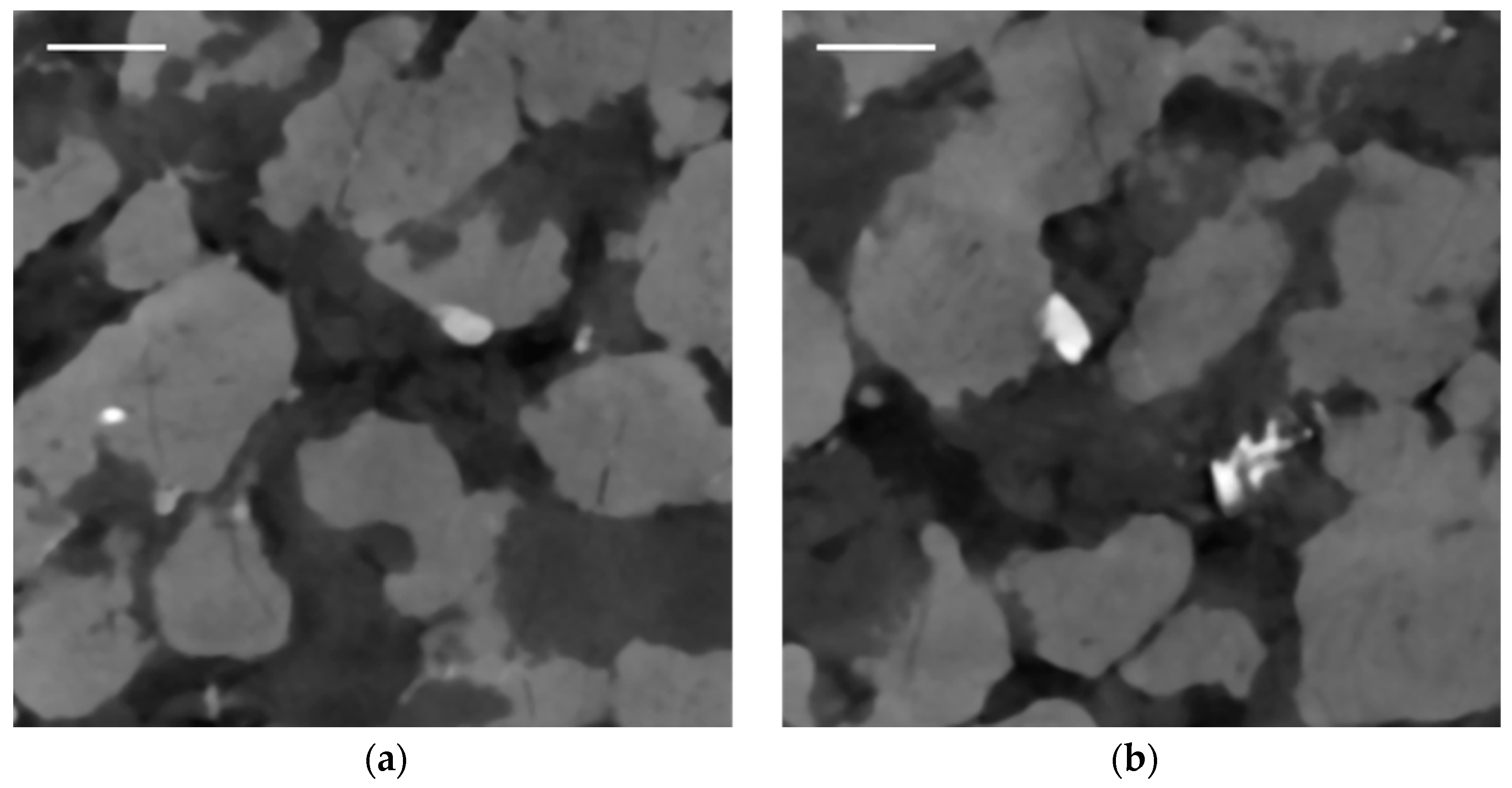 Sensors 21 02455 g012 Sensors 21 02455 g012