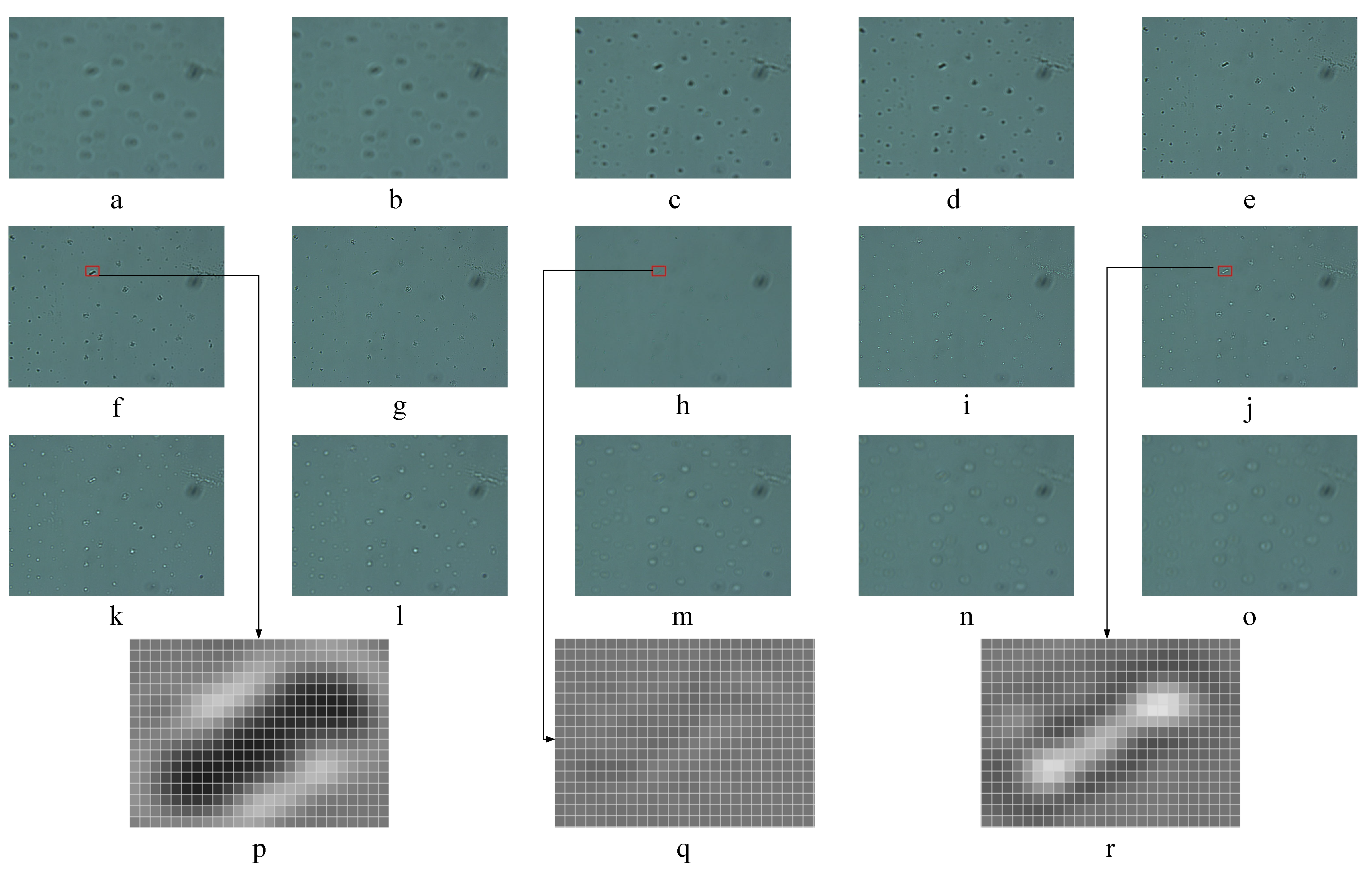 Sensors 21 02487 g003