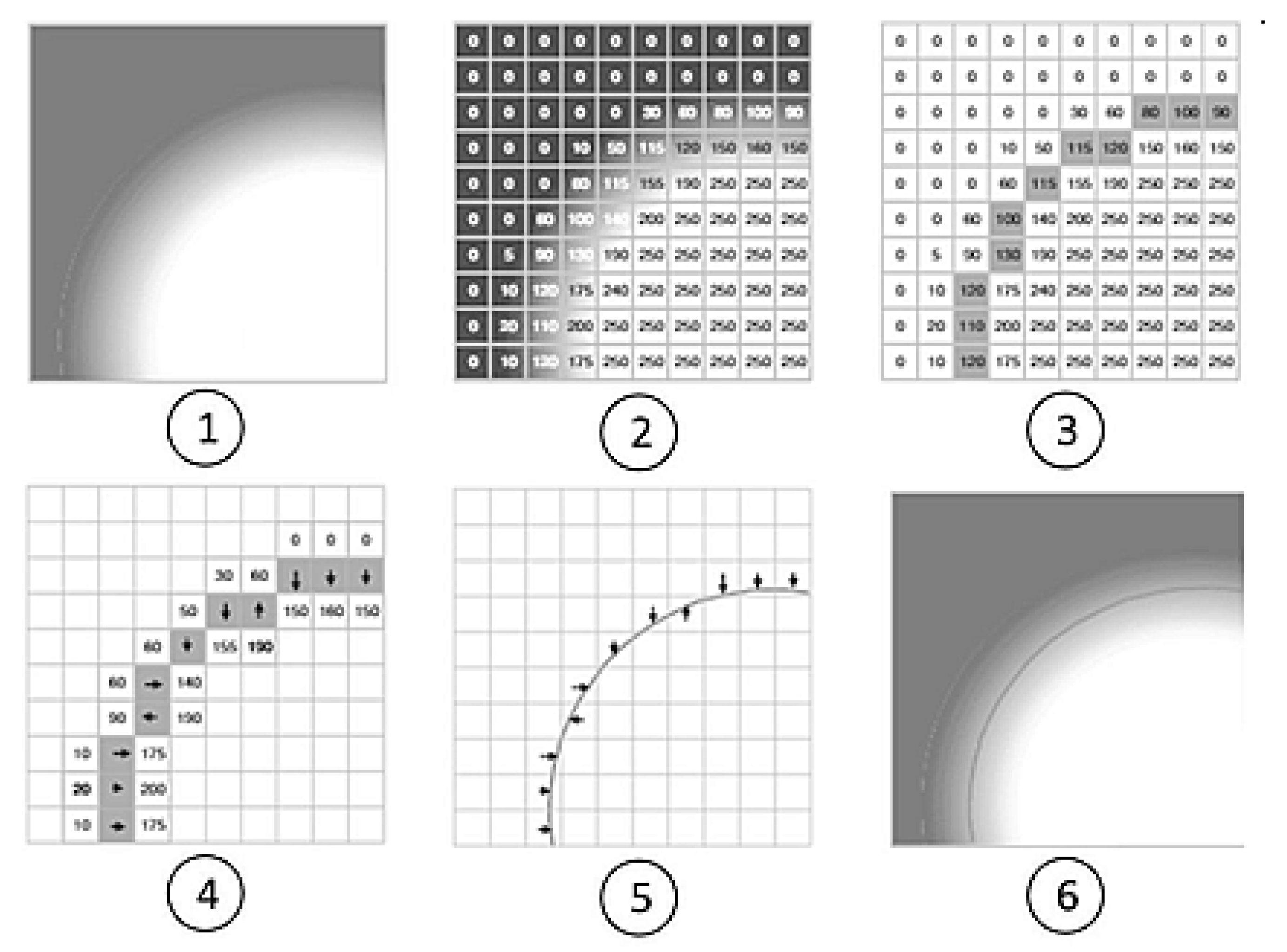 Sensors 21 02509 g001