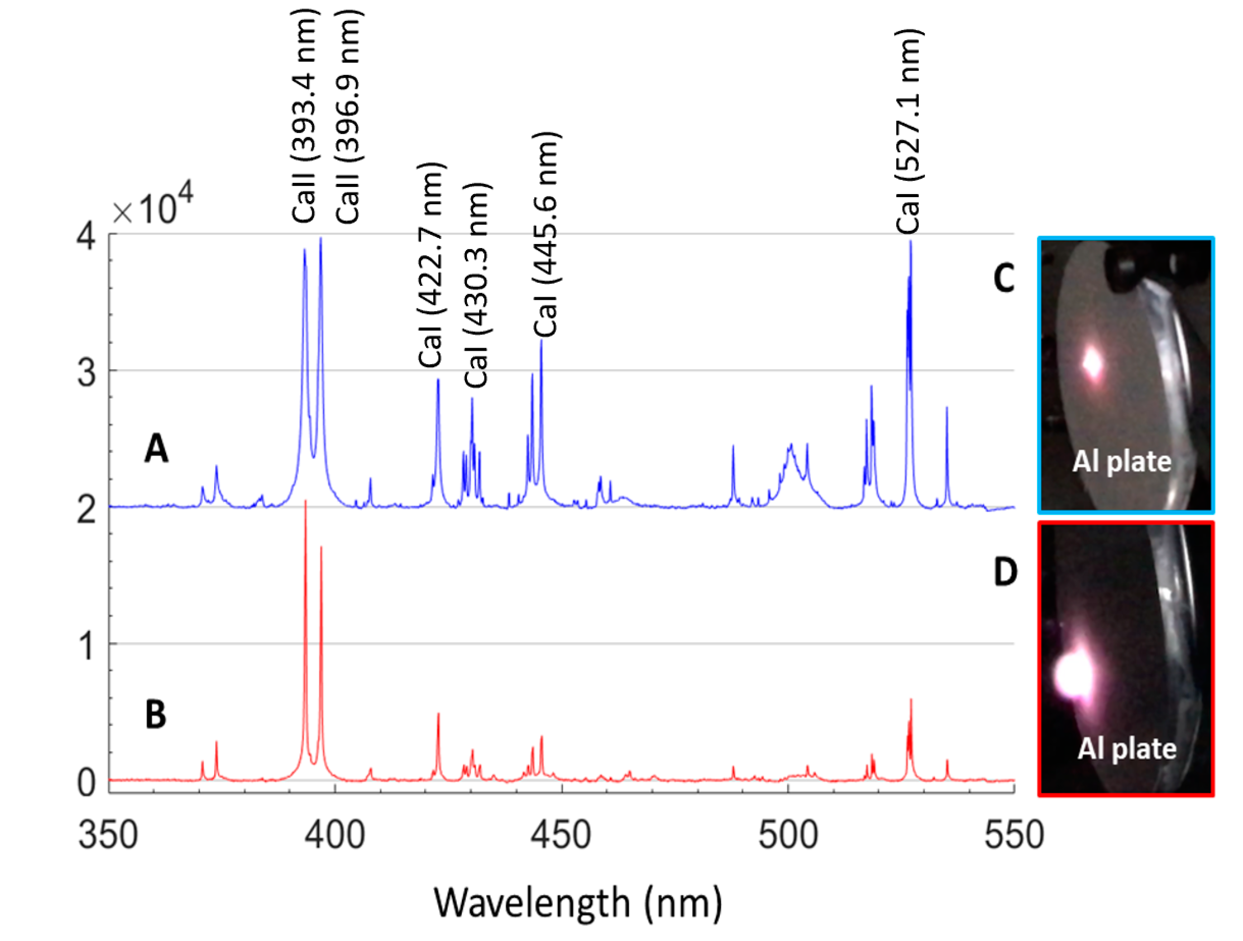Sensors 21 02519 g006