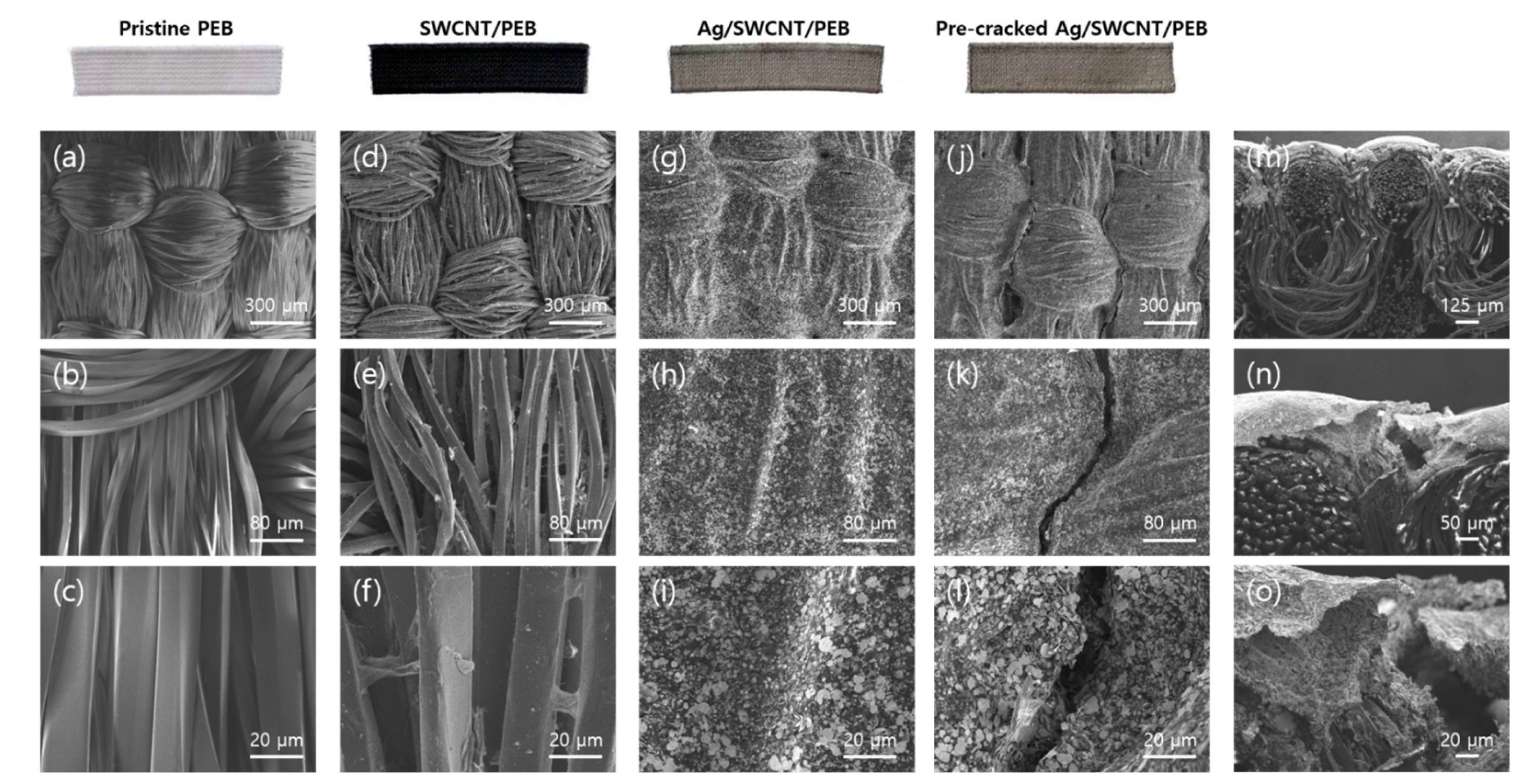 Sensors 21 02531 g002 Sensors 21 02531 g002