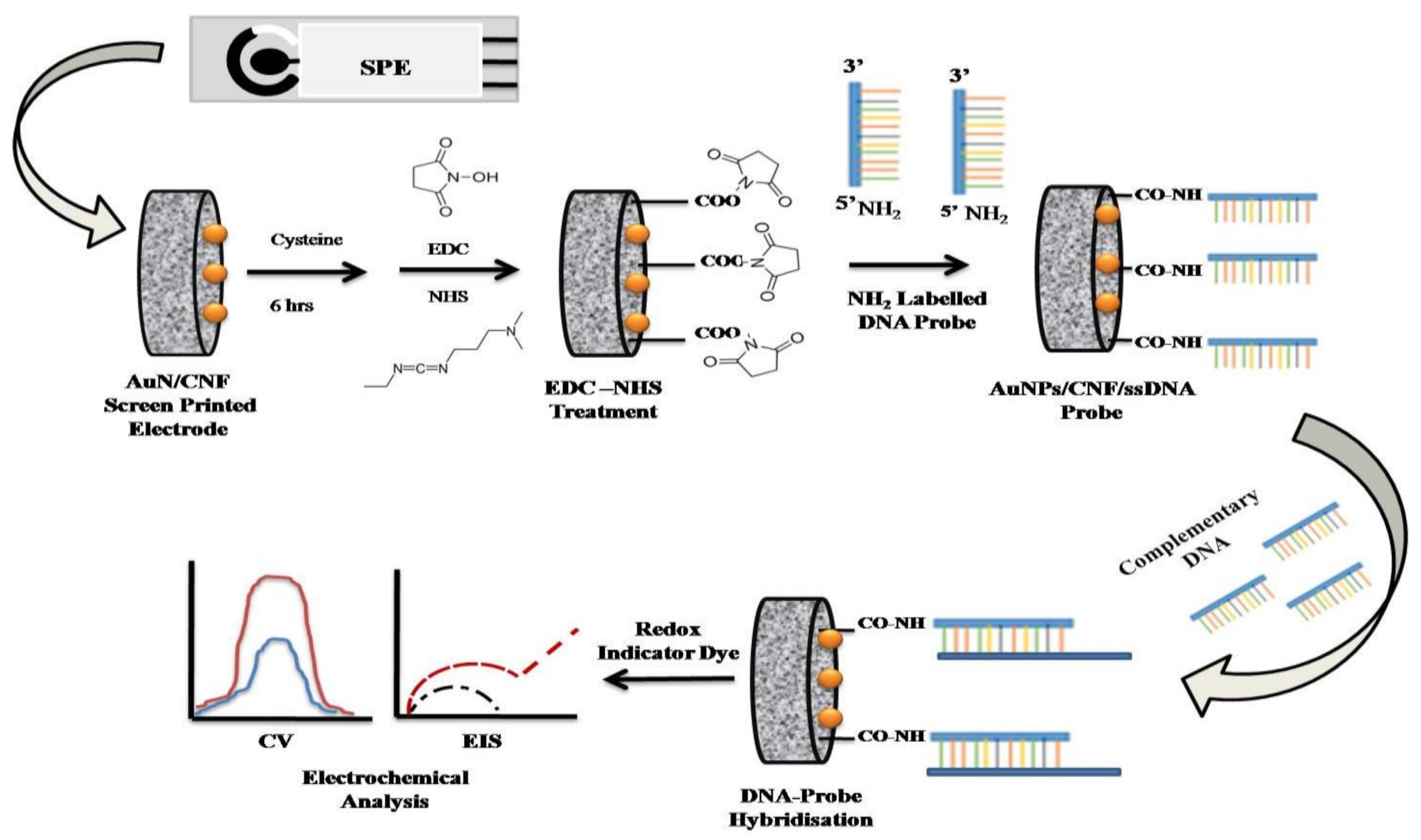 Sensors 21 02552 sch001 Sensors 21 02552 sch001