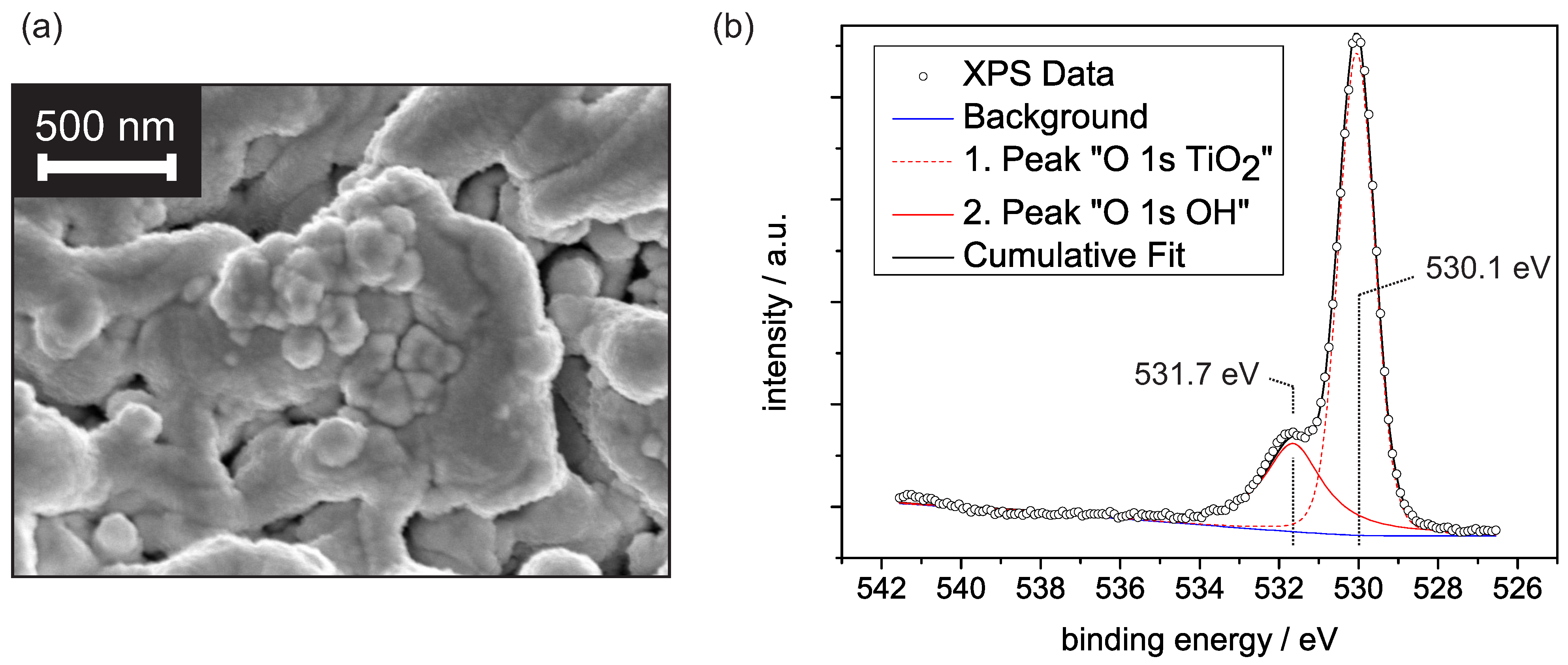 Sensors 21 02558 g001 Sensors 21 02558 g001