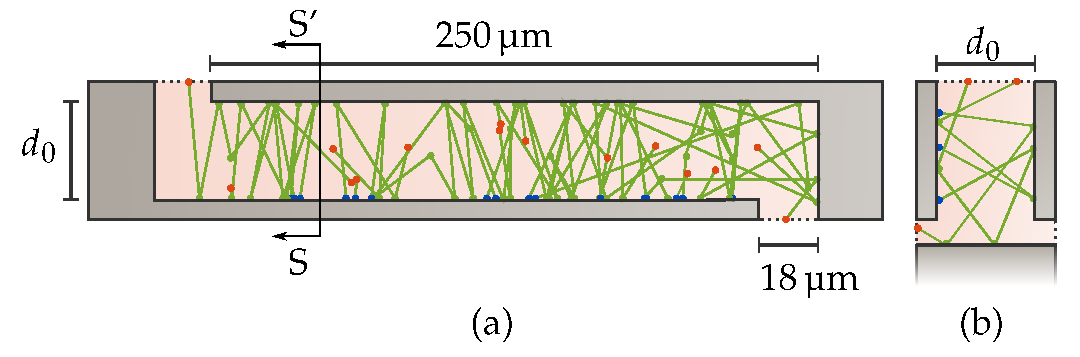 Sensors 21 02566 g002