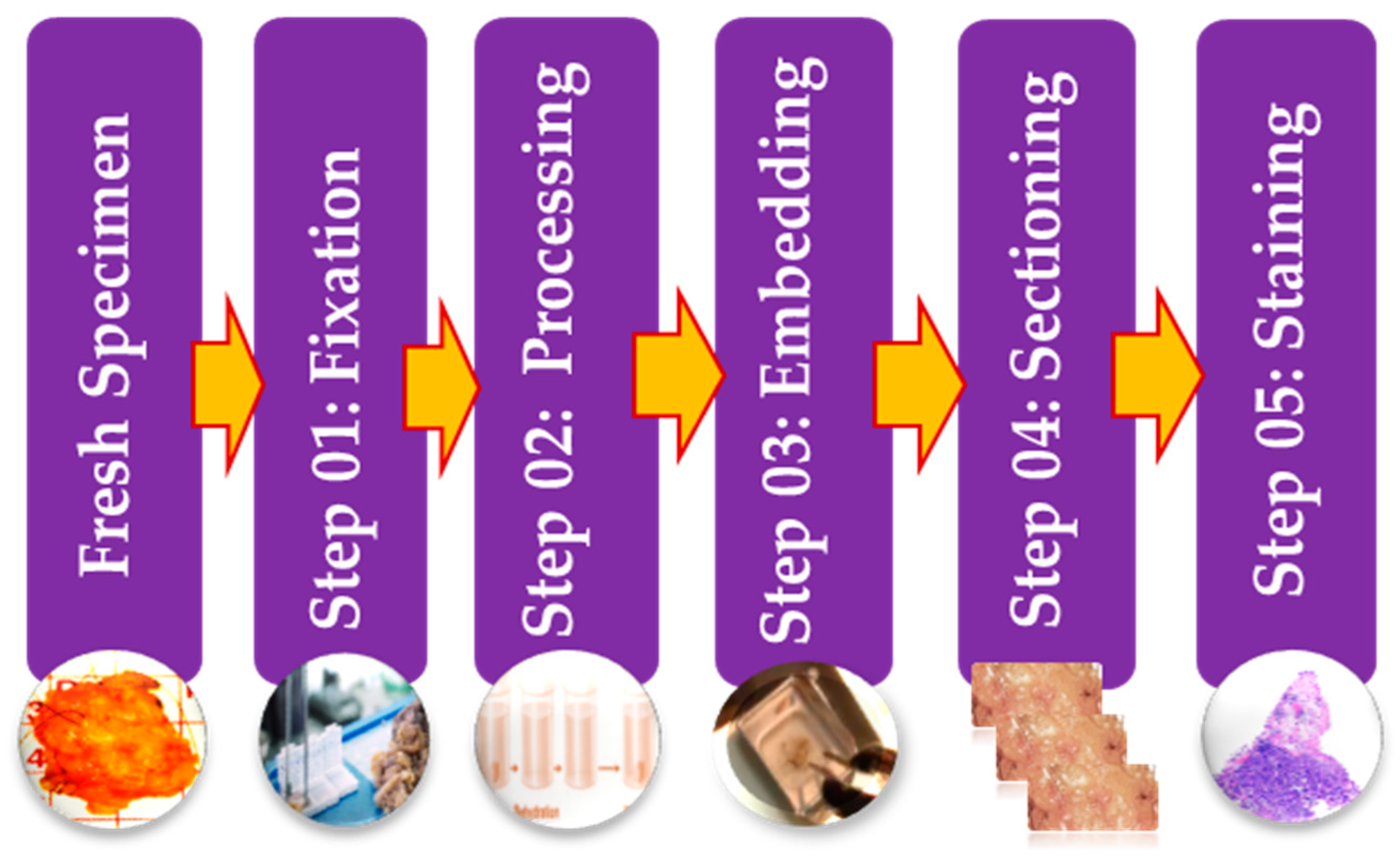 Sensors 21 02586 g003 Sensors 21 02586 g003