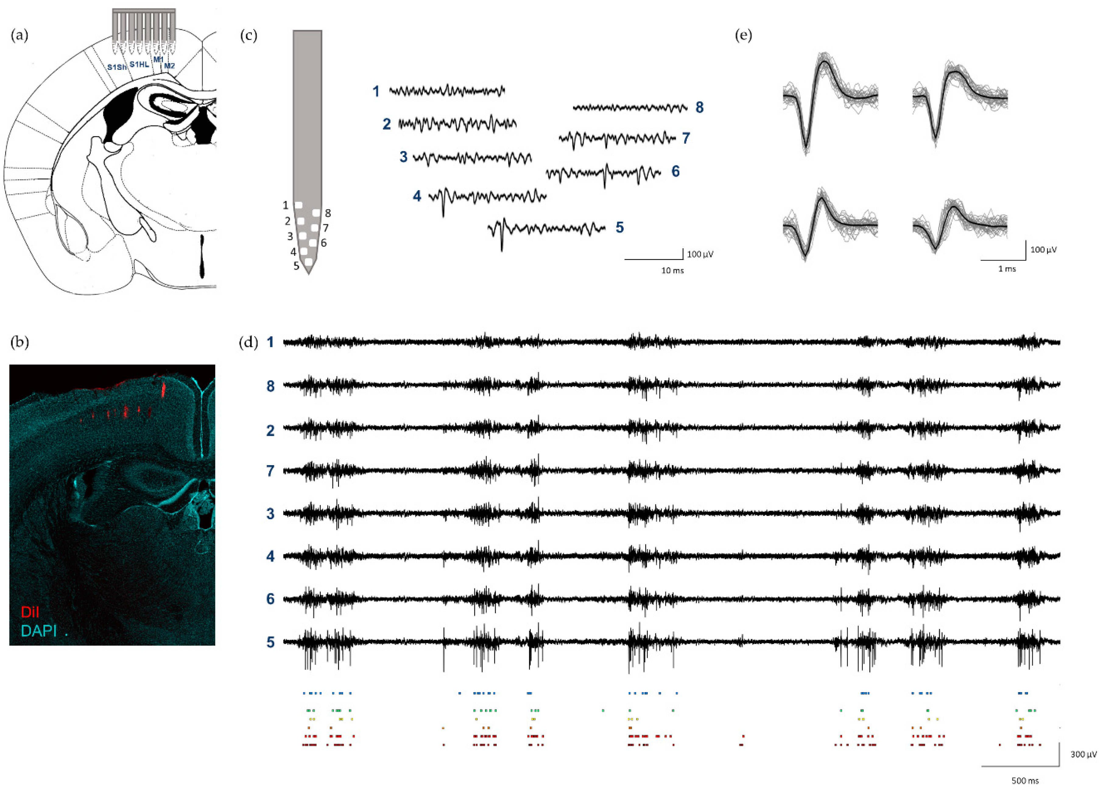 Sensors 21 02605 g004