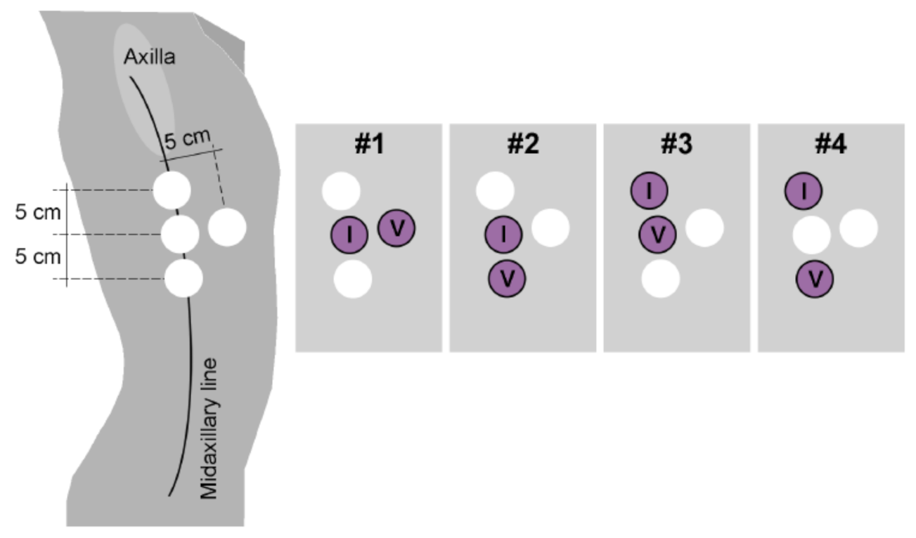 Sensors 21 02613 g001