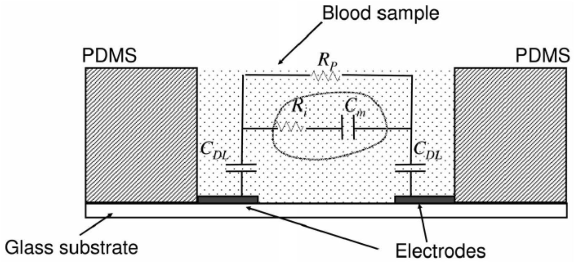 Sensors 21 02636 g010 Sensors 21 02636 g010