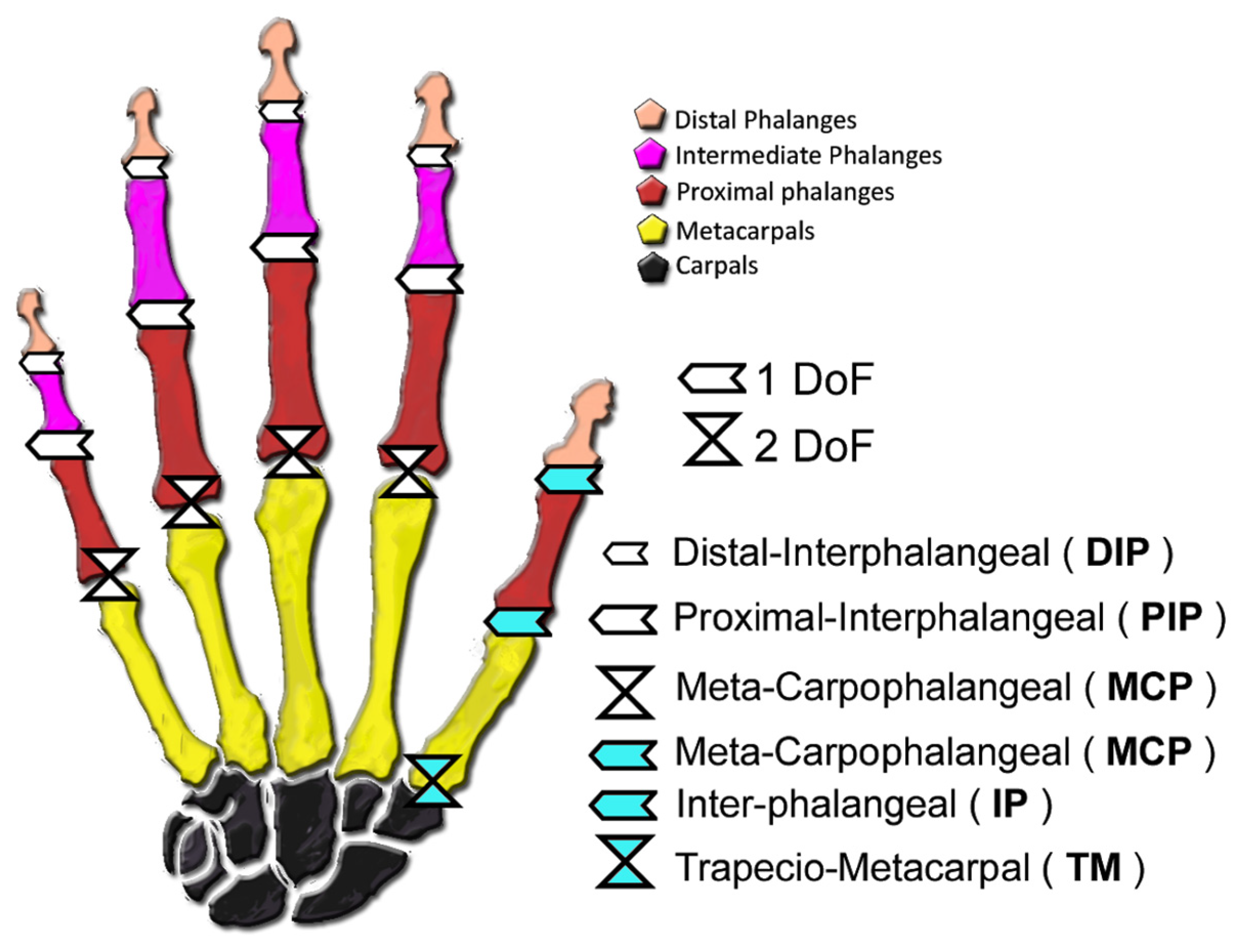 Sensors 21 02667 g001 Sensors 21 02667 g001
