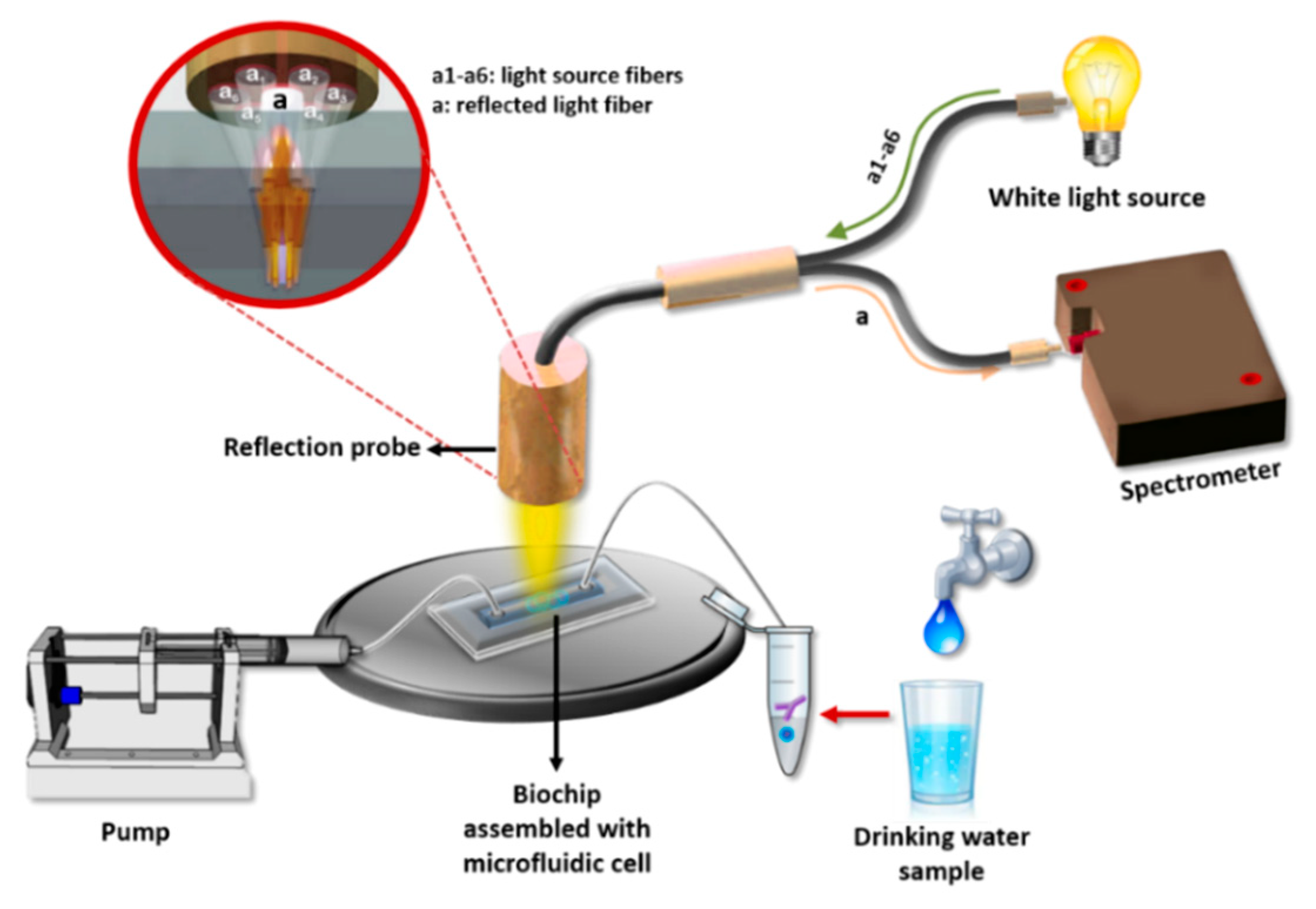 Sensors 21 02683 g001 Sensors 21 02683 g001