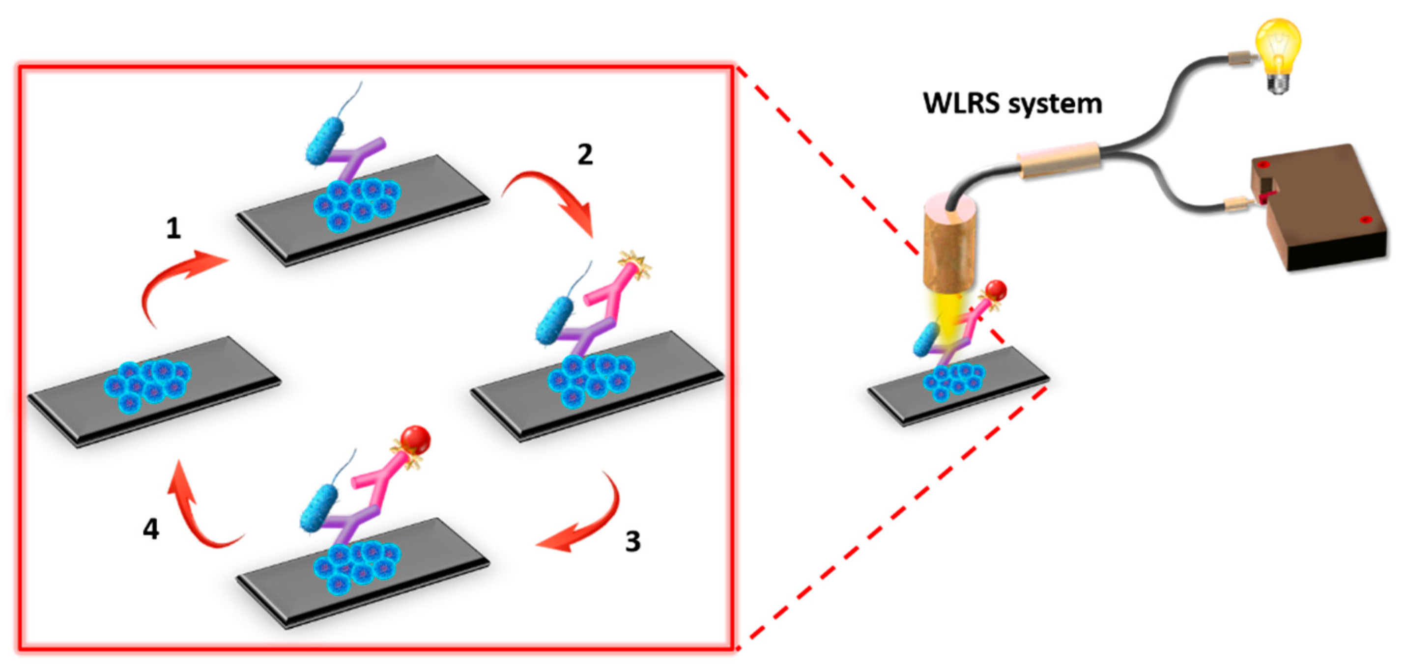 Sensors 21 02683 g002 Sensors 21 02683 g002