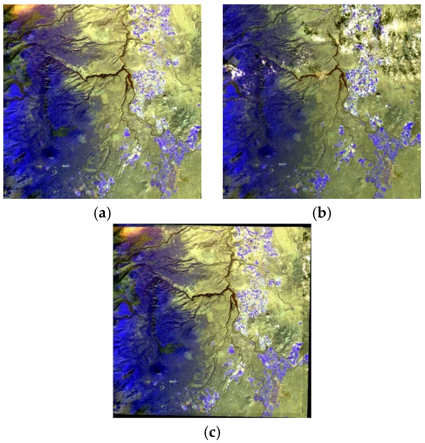 Sensors 21 02695 g010 Sensors 21 02695 g010