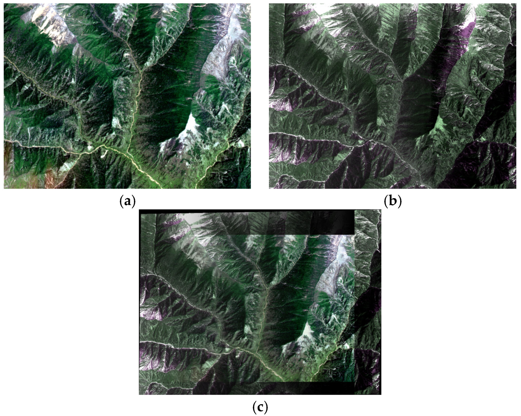 Sensors 21 02695 g011 Sensors 21 02695 g011
