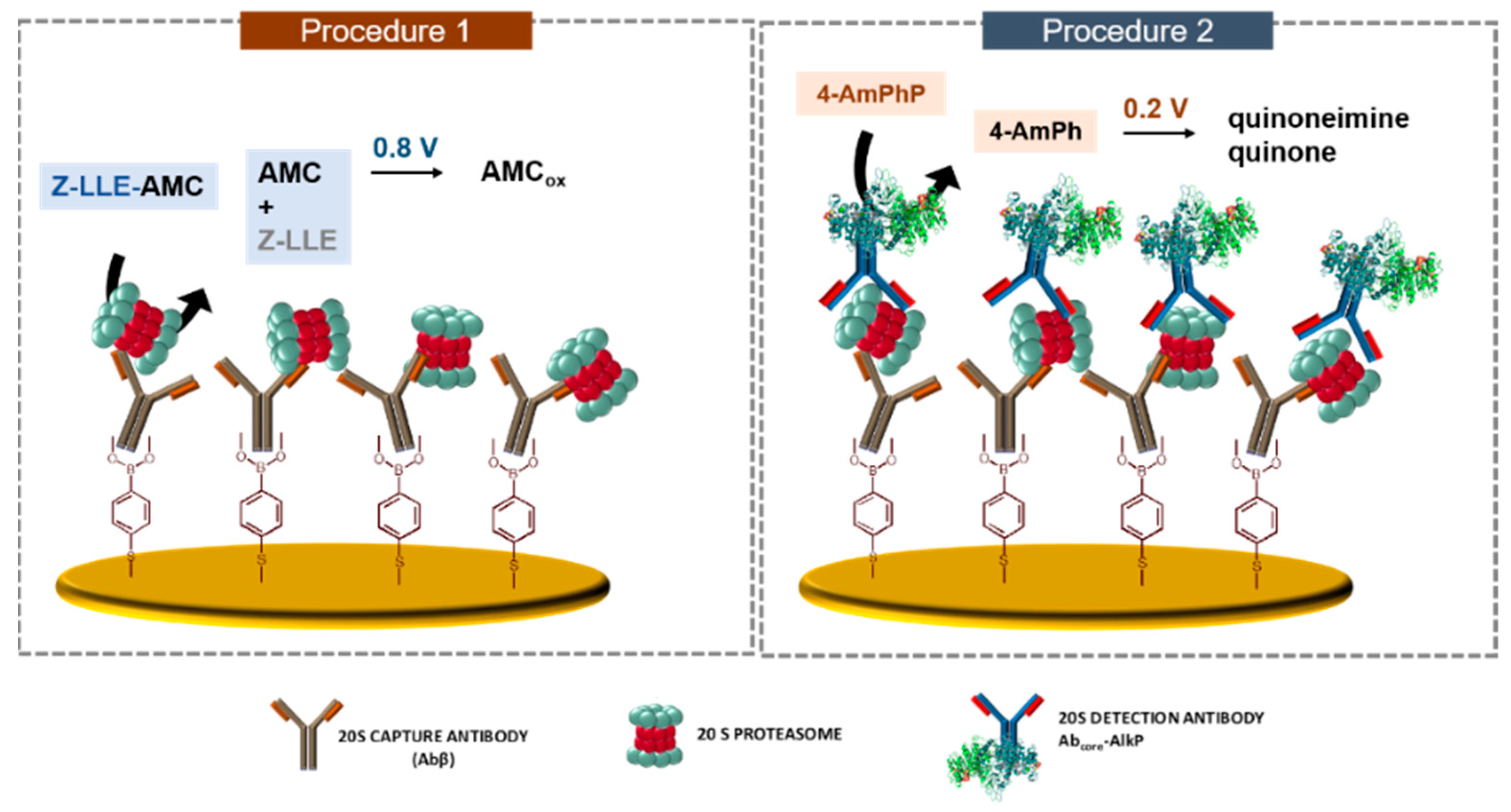 Sensors 21 02702 sch001