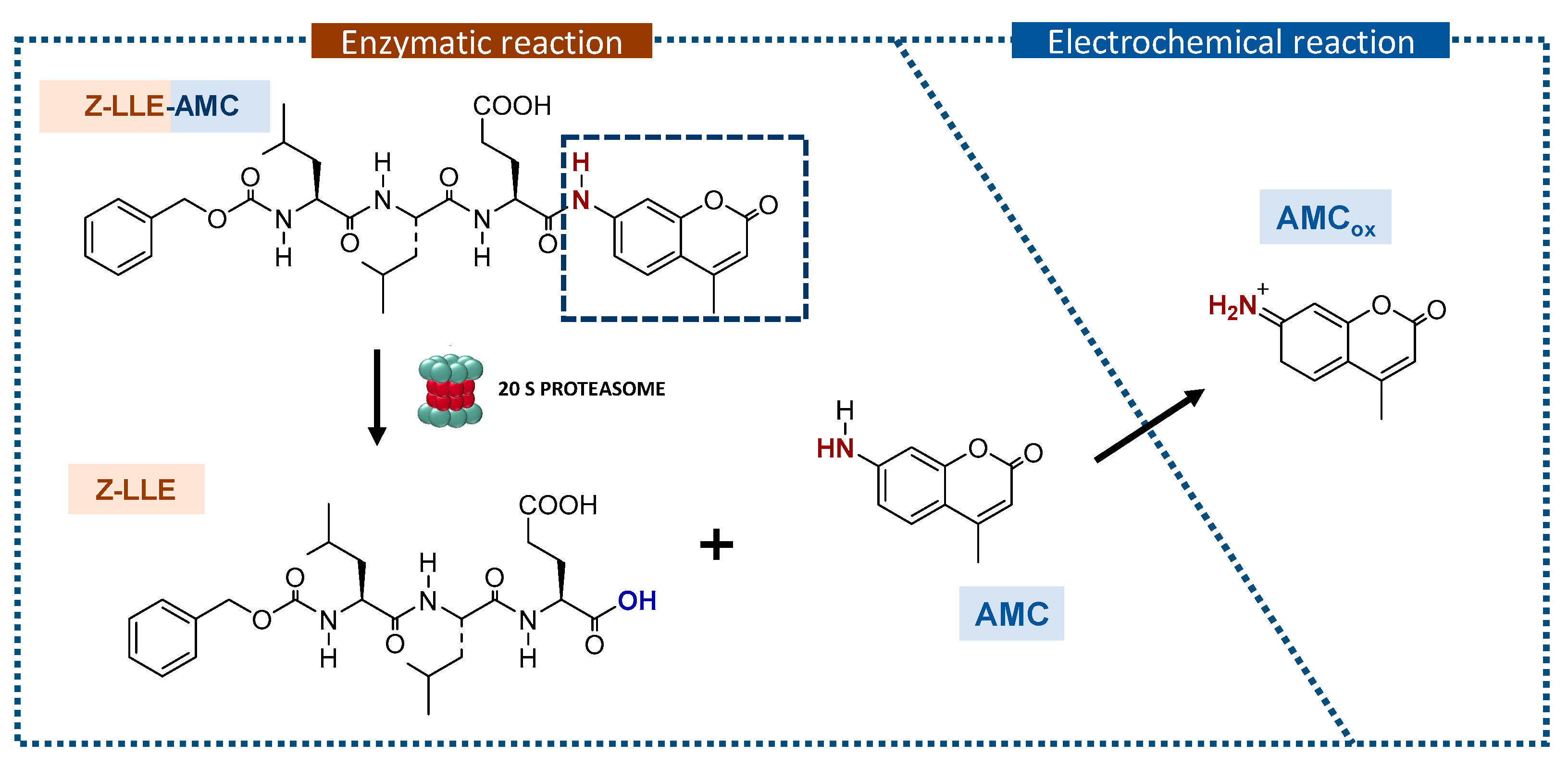 Sensors 21 02702 sch002