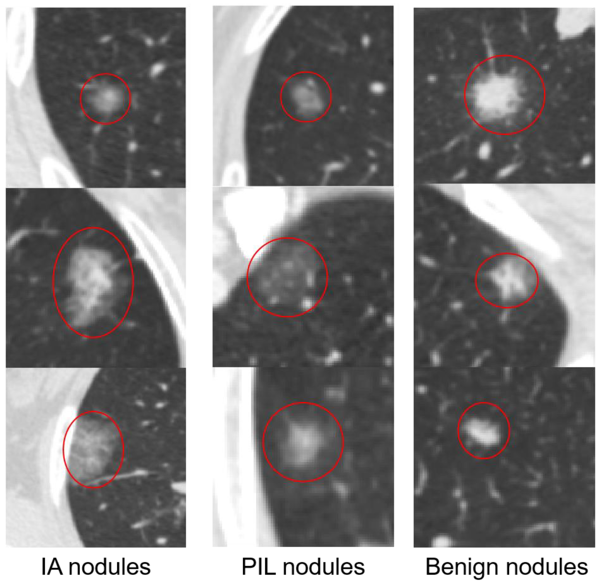 Sensors 21 02734 g001